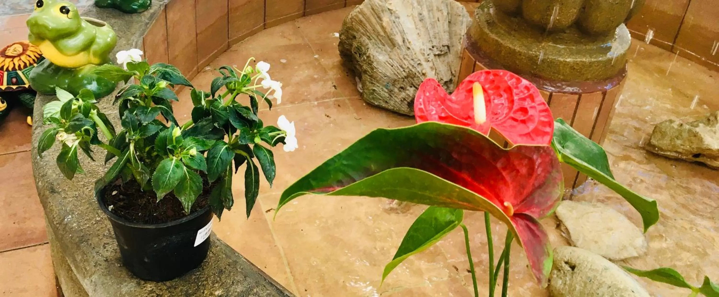 Property building in Hotel Posada Edem