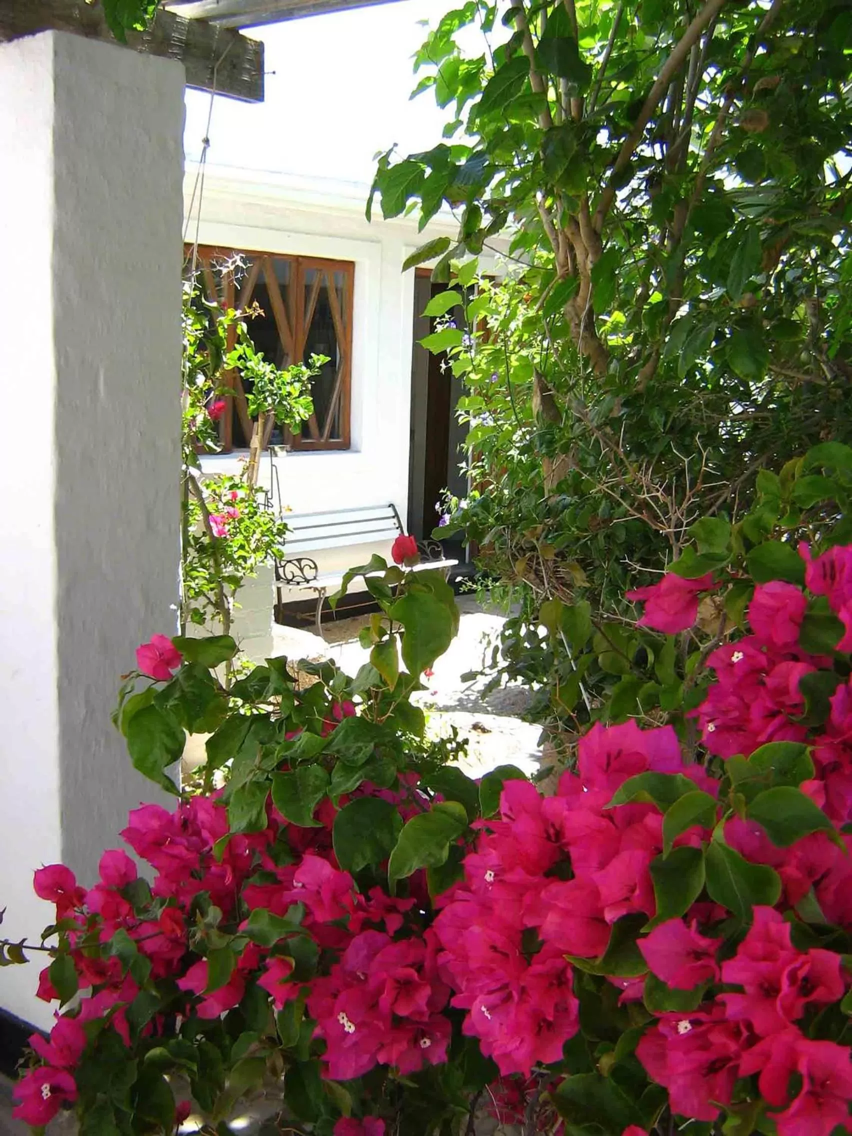 Garden in Alternative Space B & B