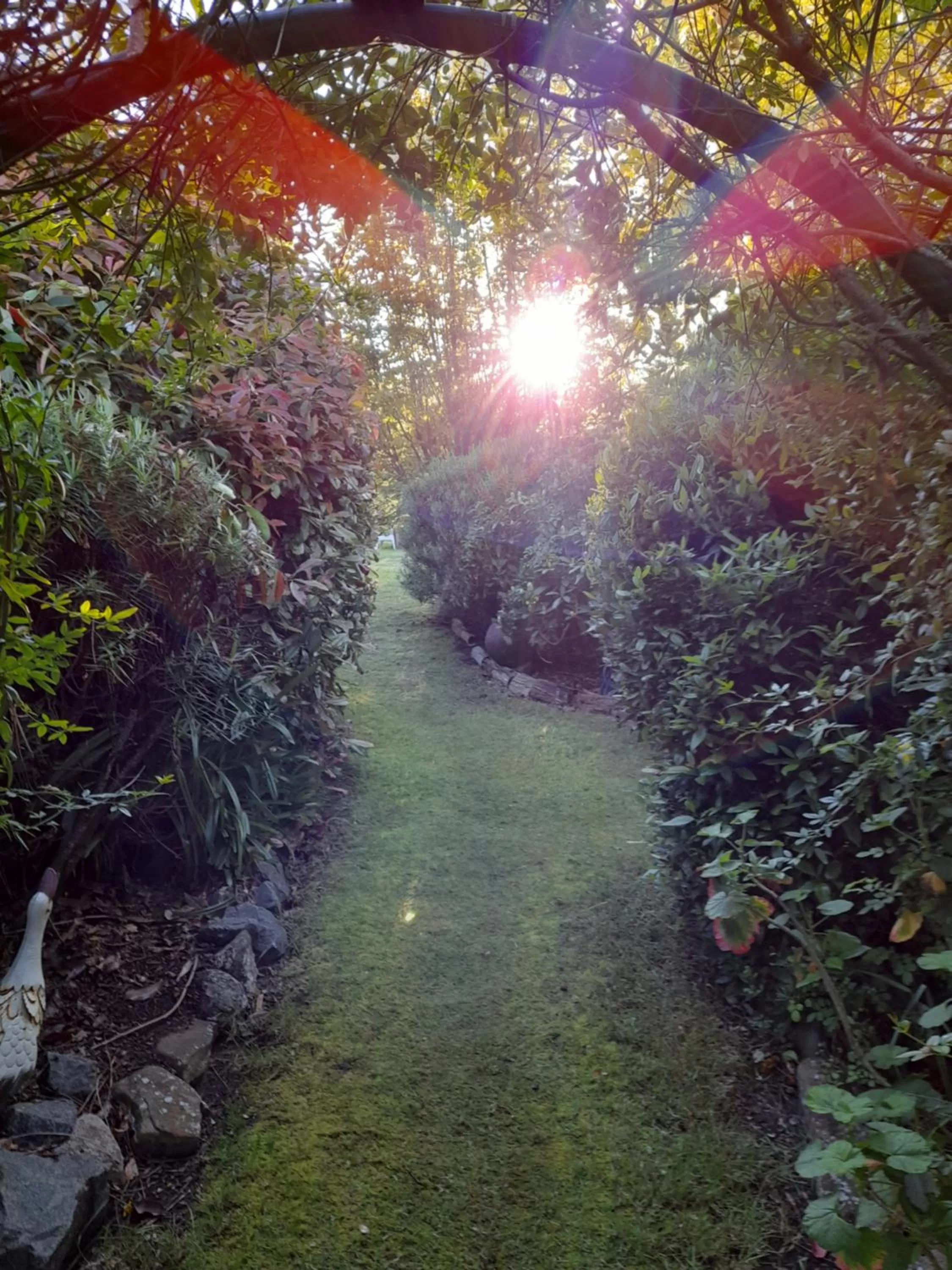 Hillside Bed and Breakfast