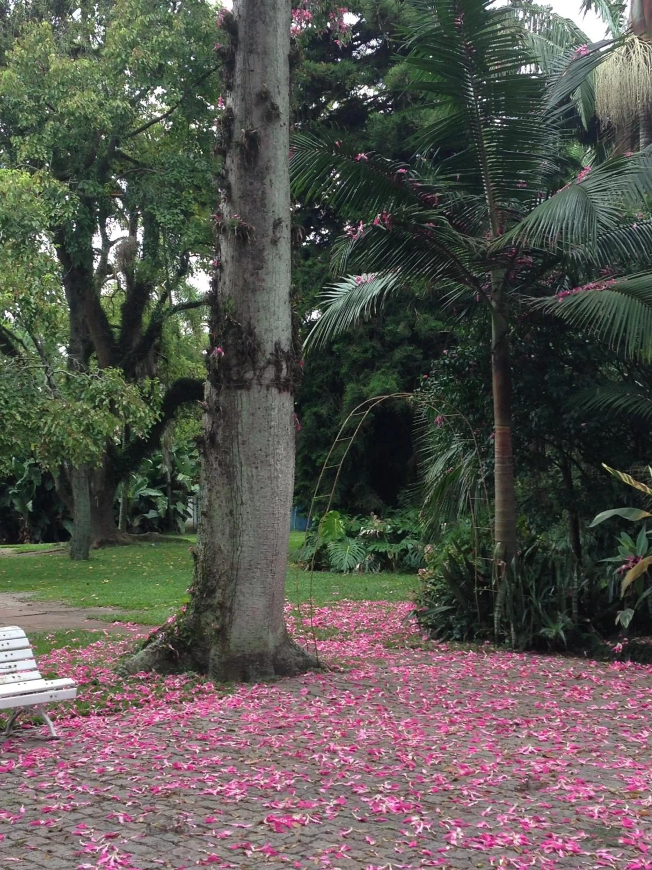 Garden in Charqueada Santa Rita Pousada de Charme