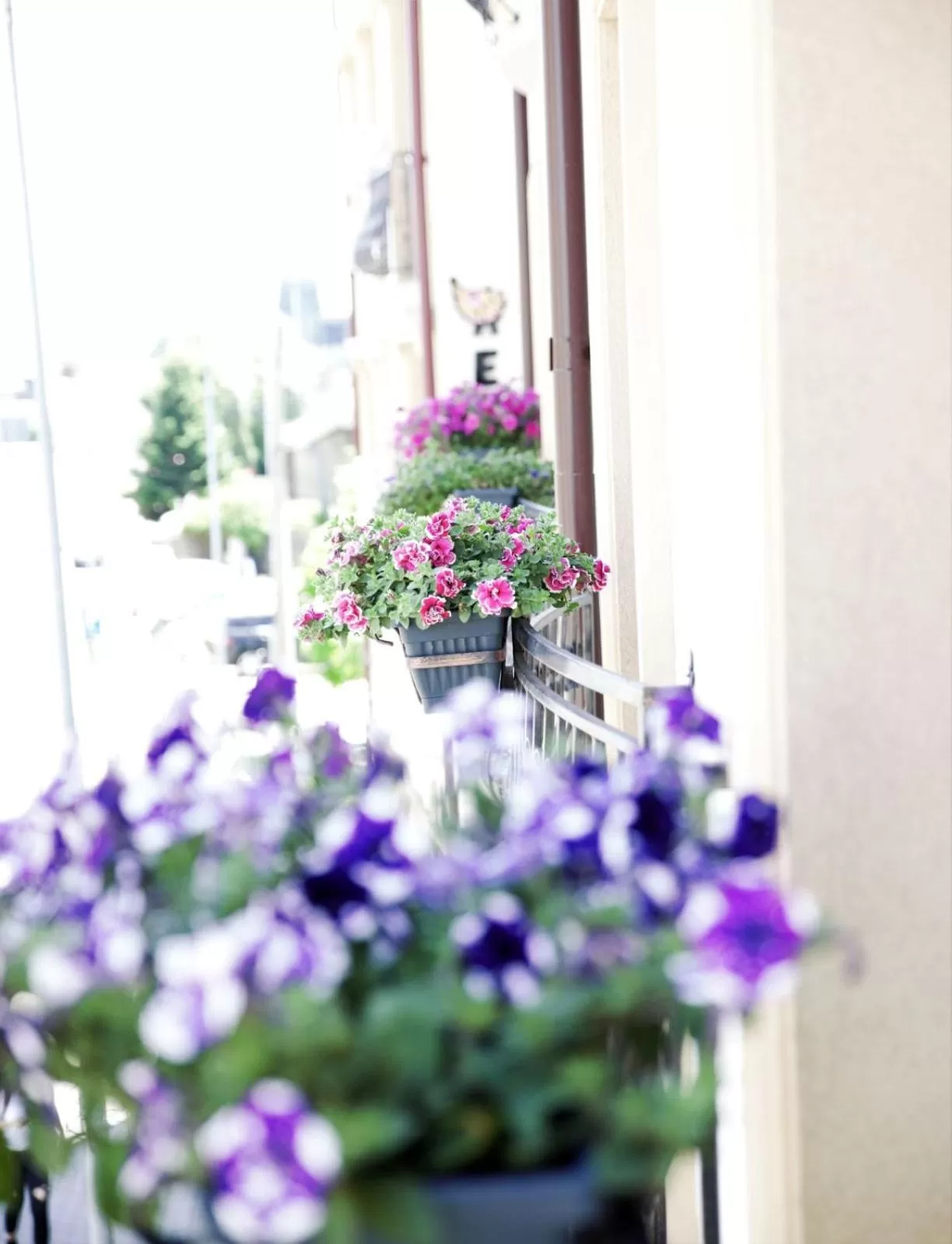 Property building in CENTRAL VIEW Craiova