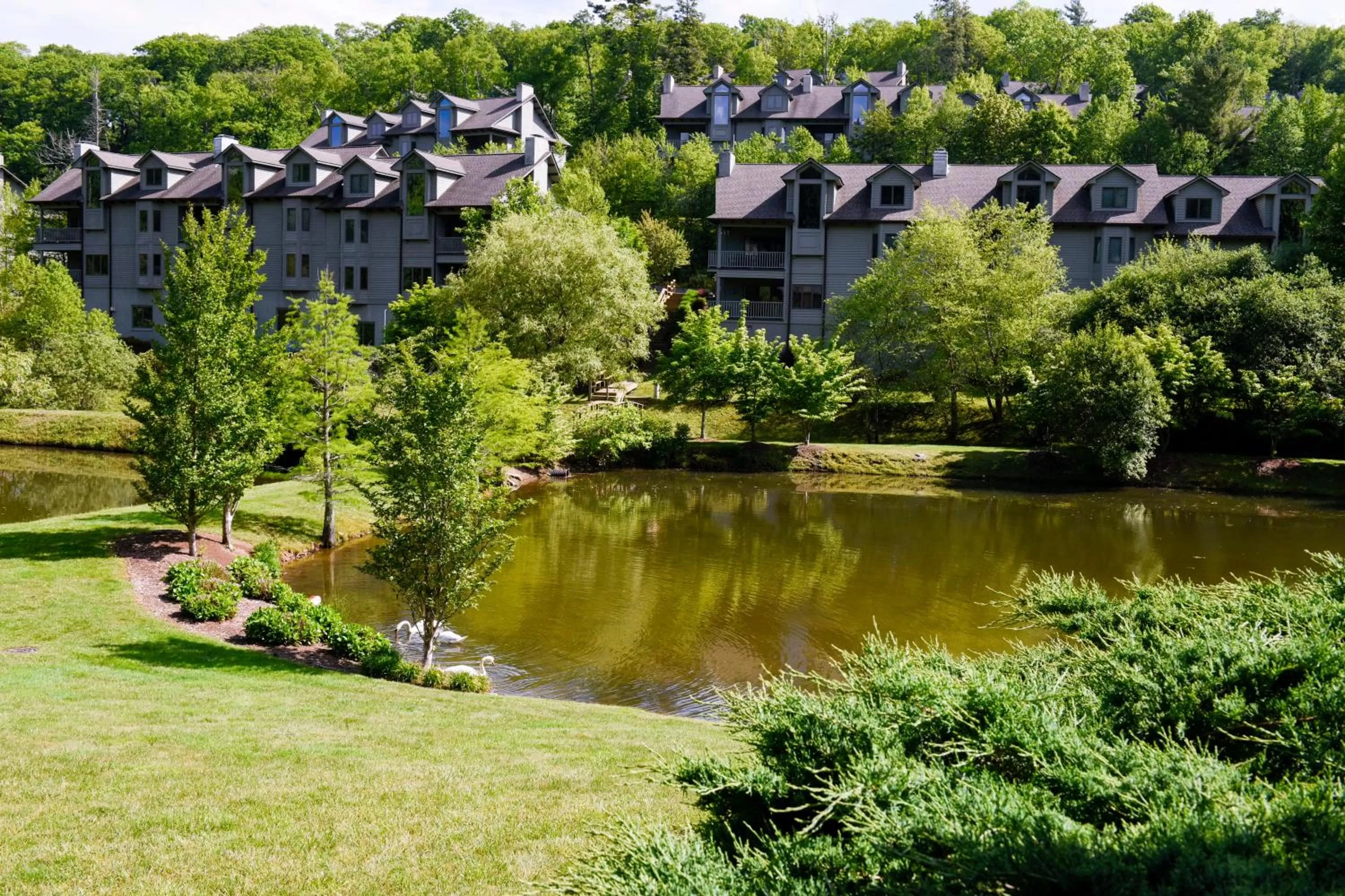 Property building in Chetola Resort Condominiums