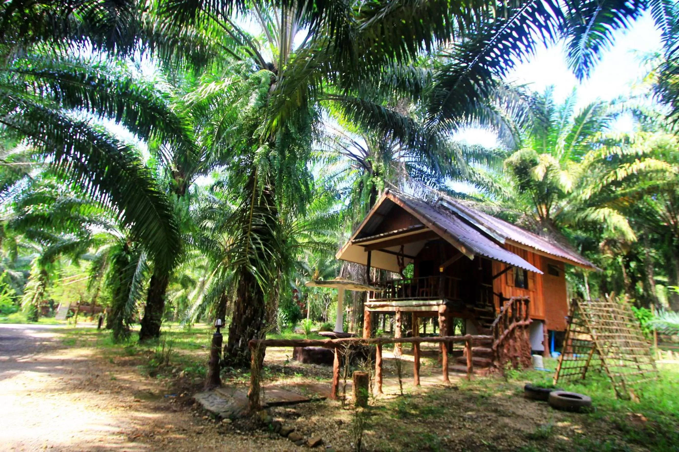 Khao Sok Palmview Resort
