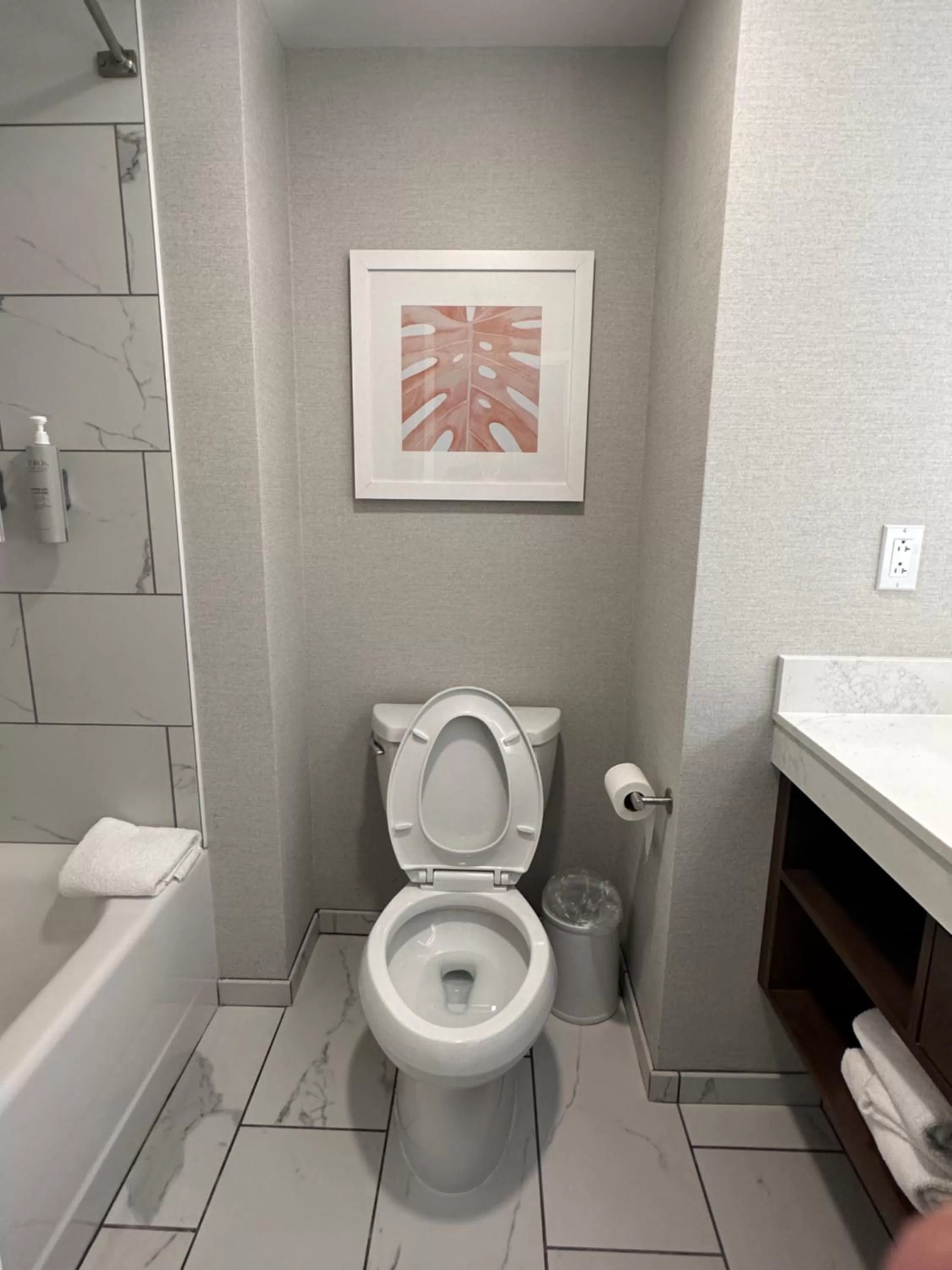 Toilet in Hampton Inn Virginia Beach-Oceanfront South