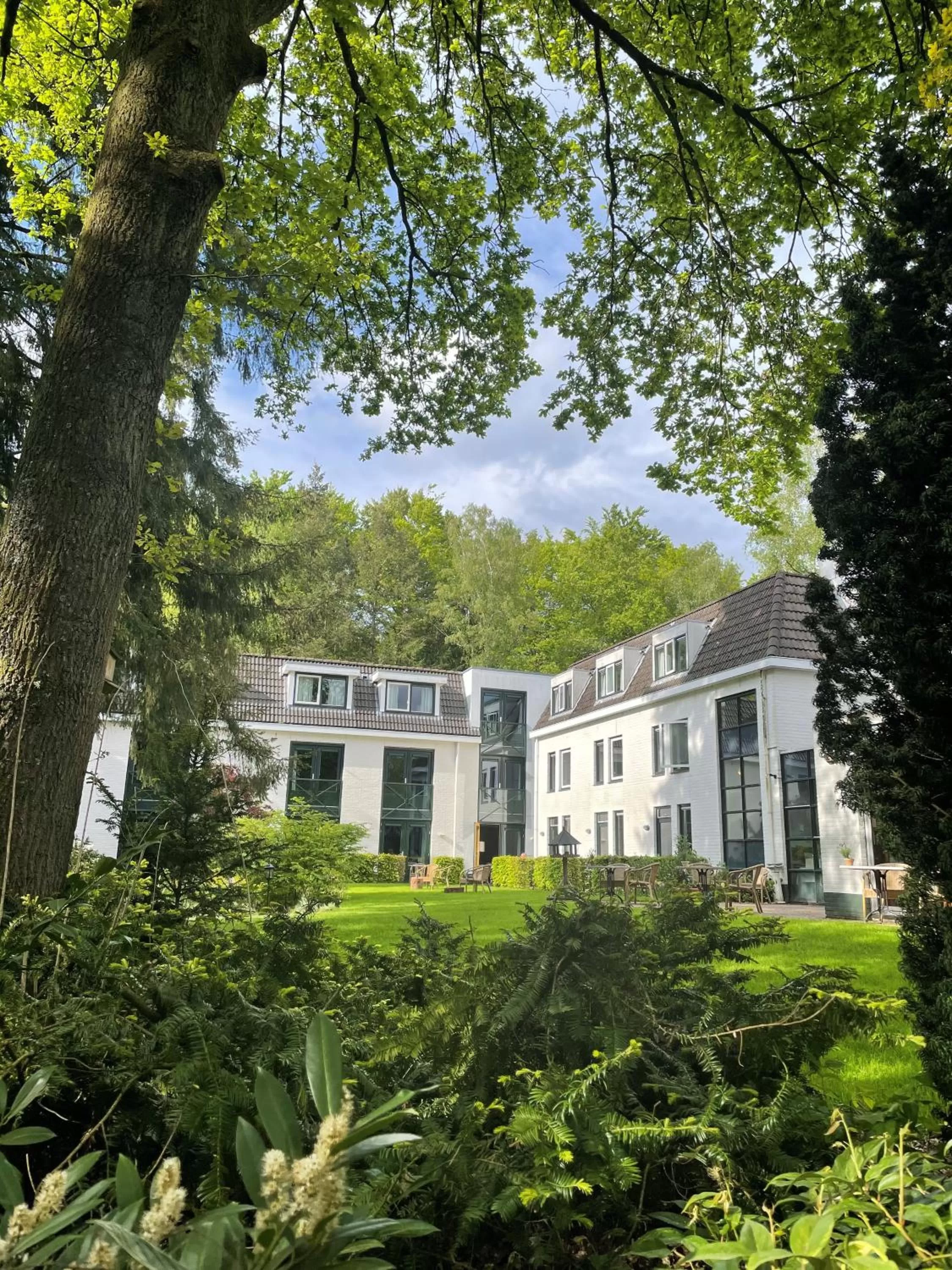 Witte Berken Natuurhotel