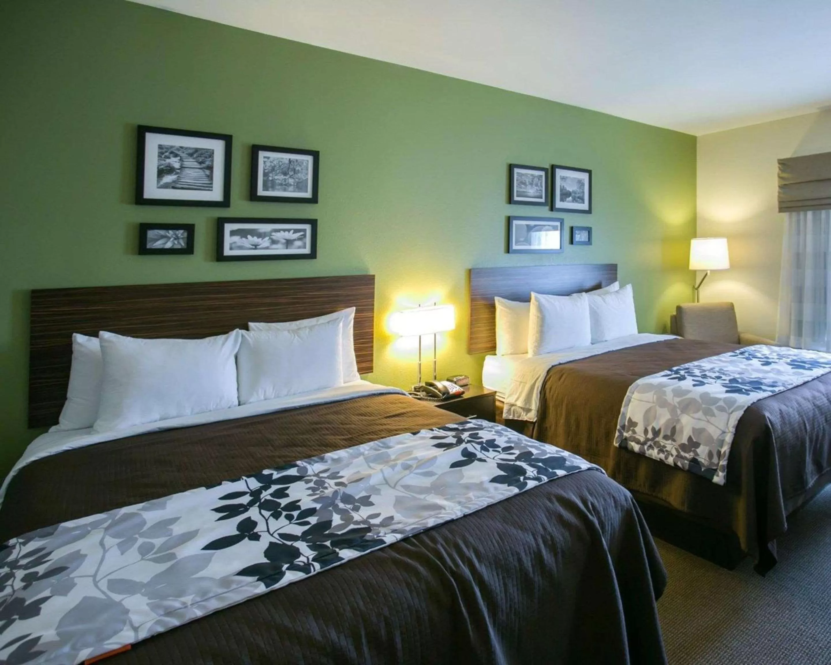 Photo of the whole room, Bed in Sleep Inn & Suites Round Rock - Austin North