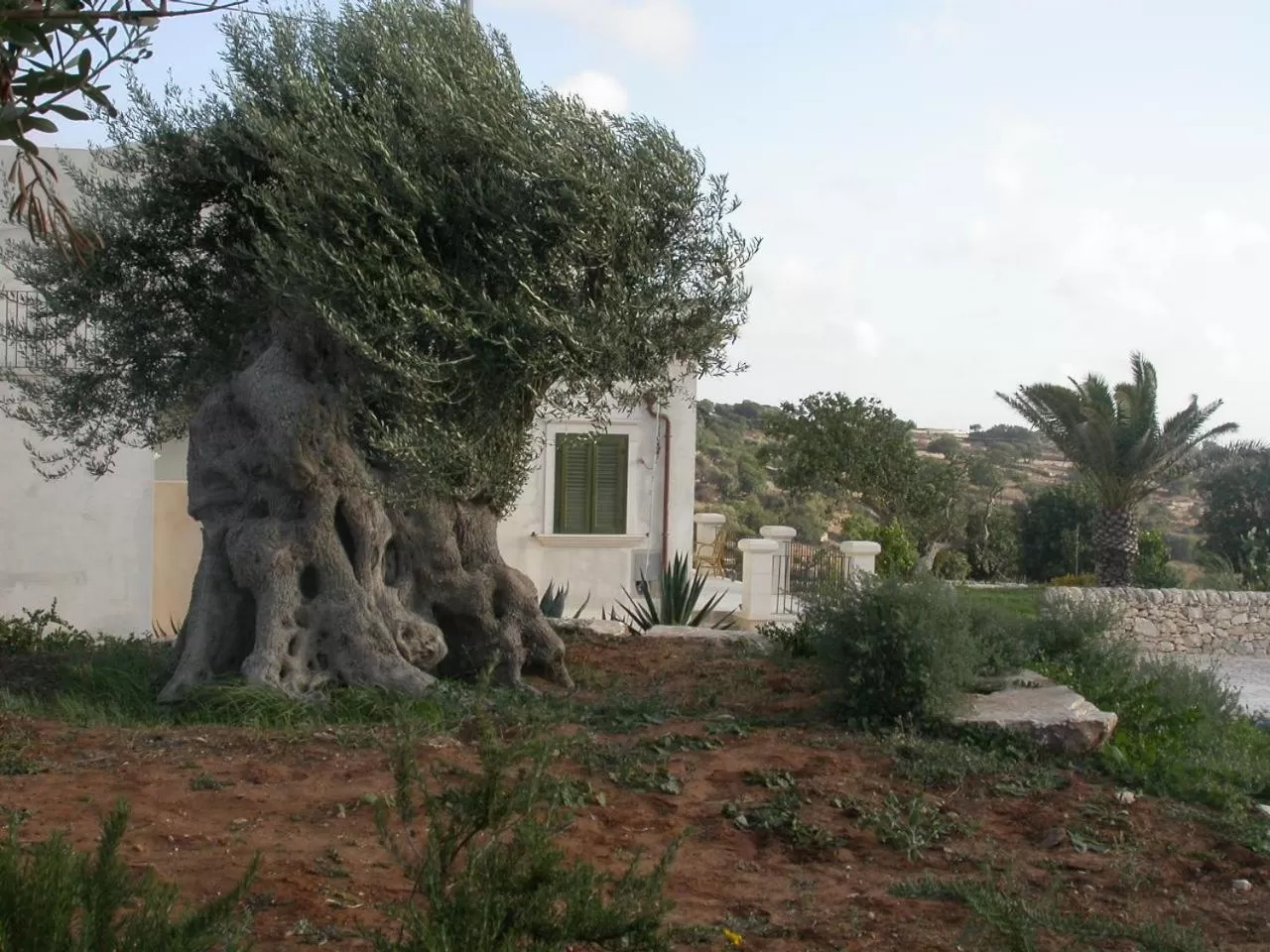 Garden in Relais Parco Cavalonga