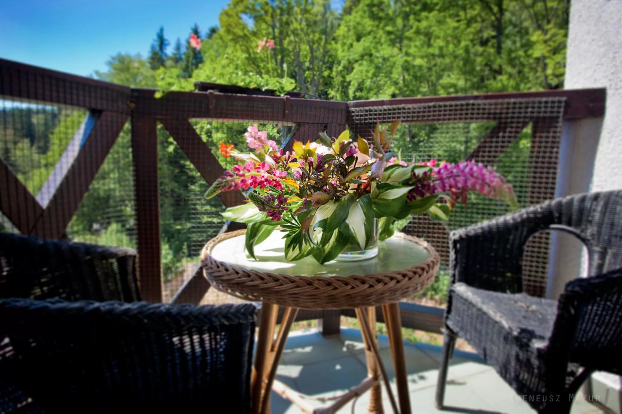 Balcony/Terrace in Hotel Las Piechowice
