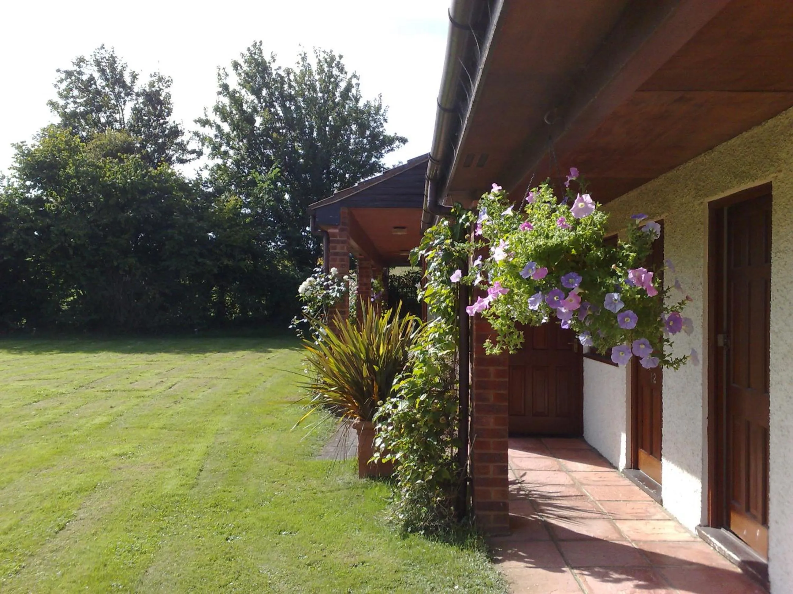 Garden in Apple Tree Hotel