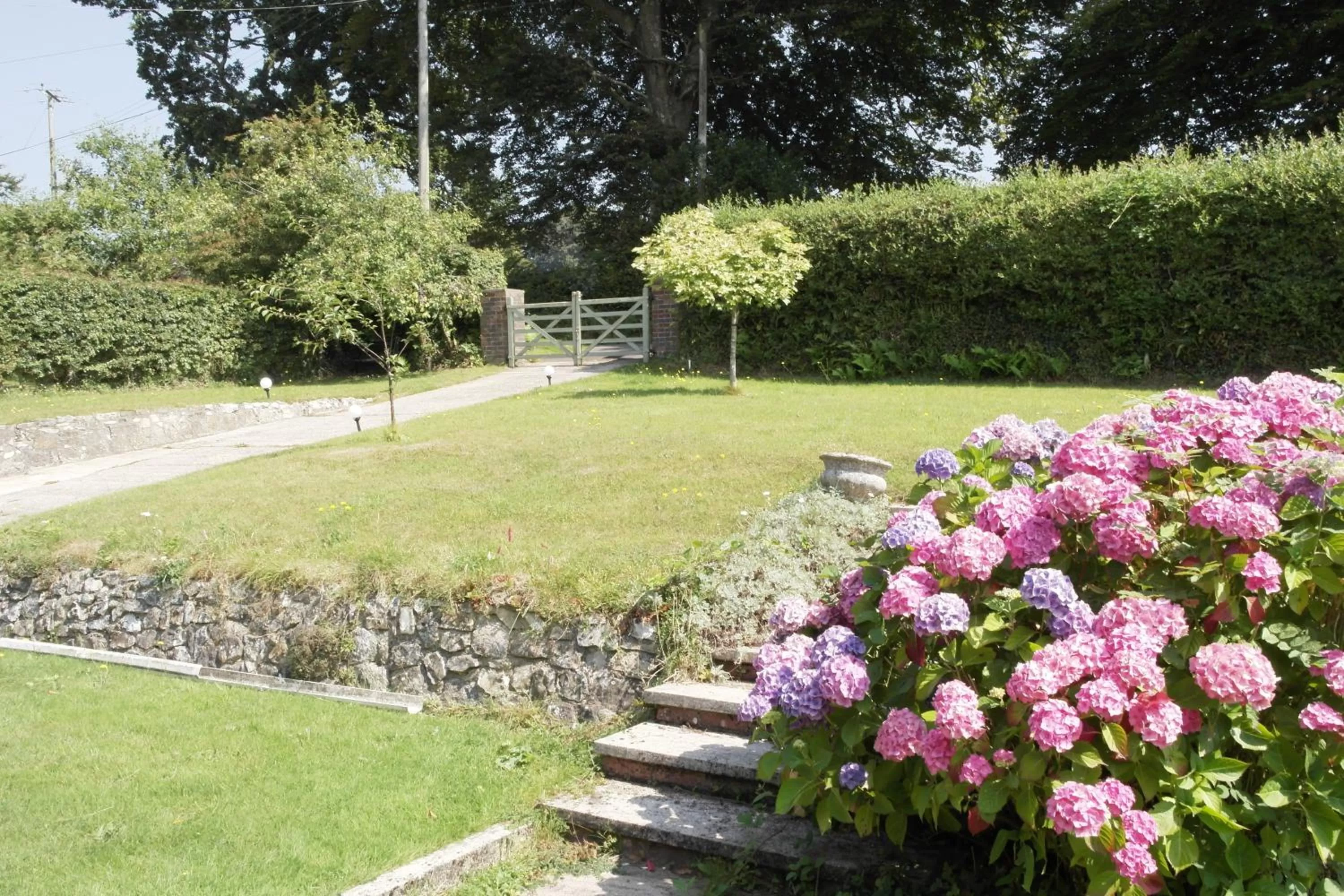 Garden in Nettle Bank