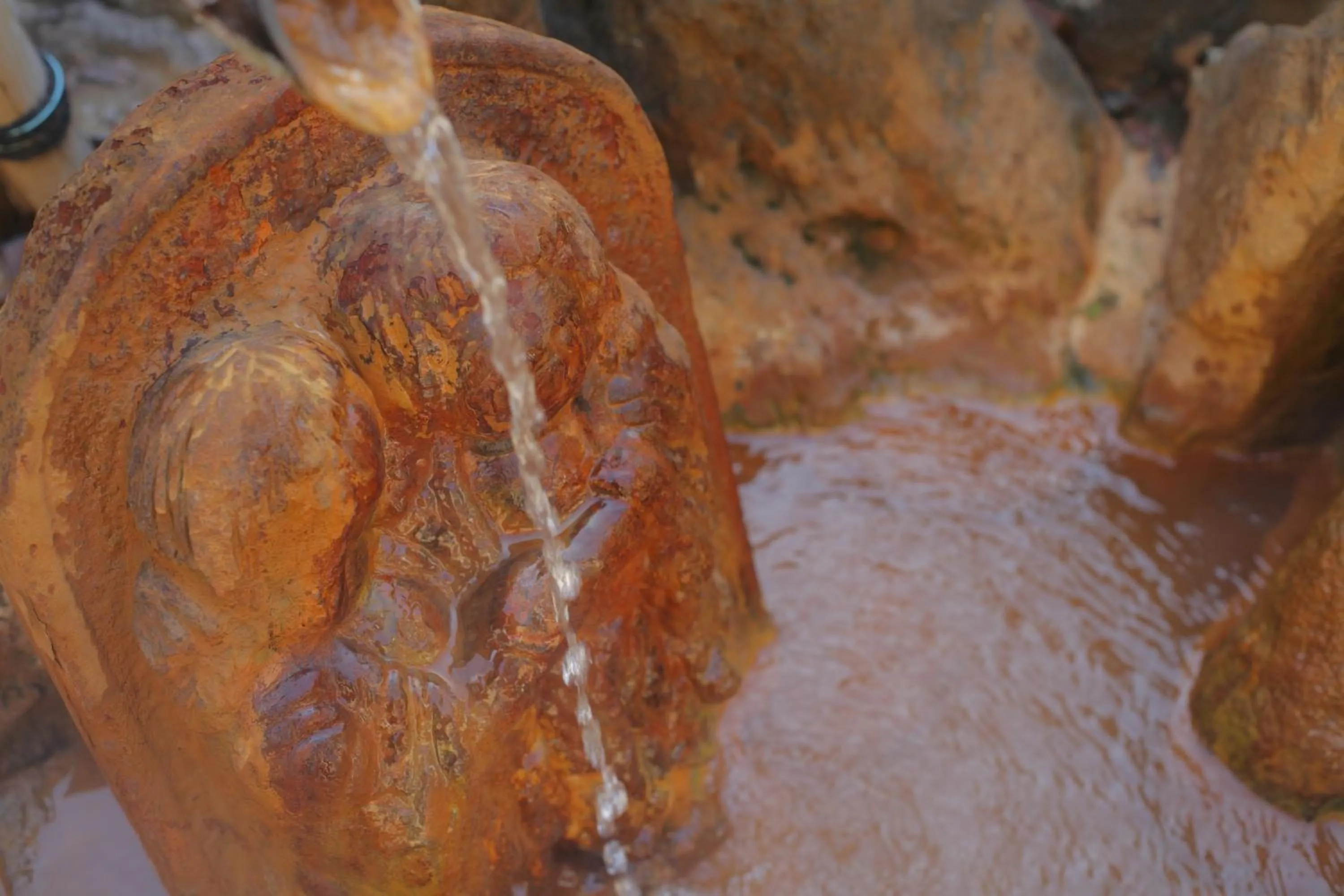 Area and facilities in Sakaeya