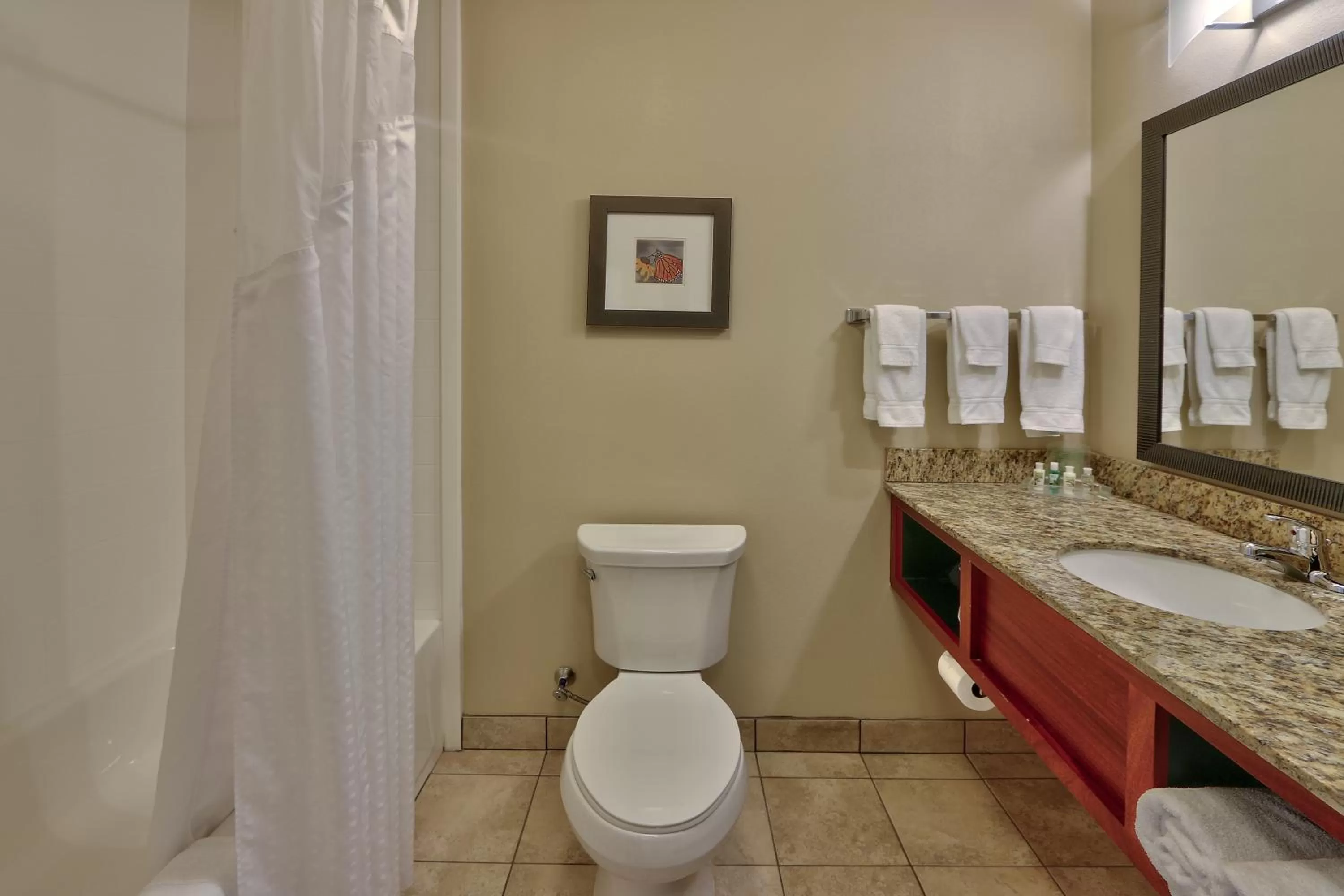 Bathroom in Holiday Inn Roswell by IHG