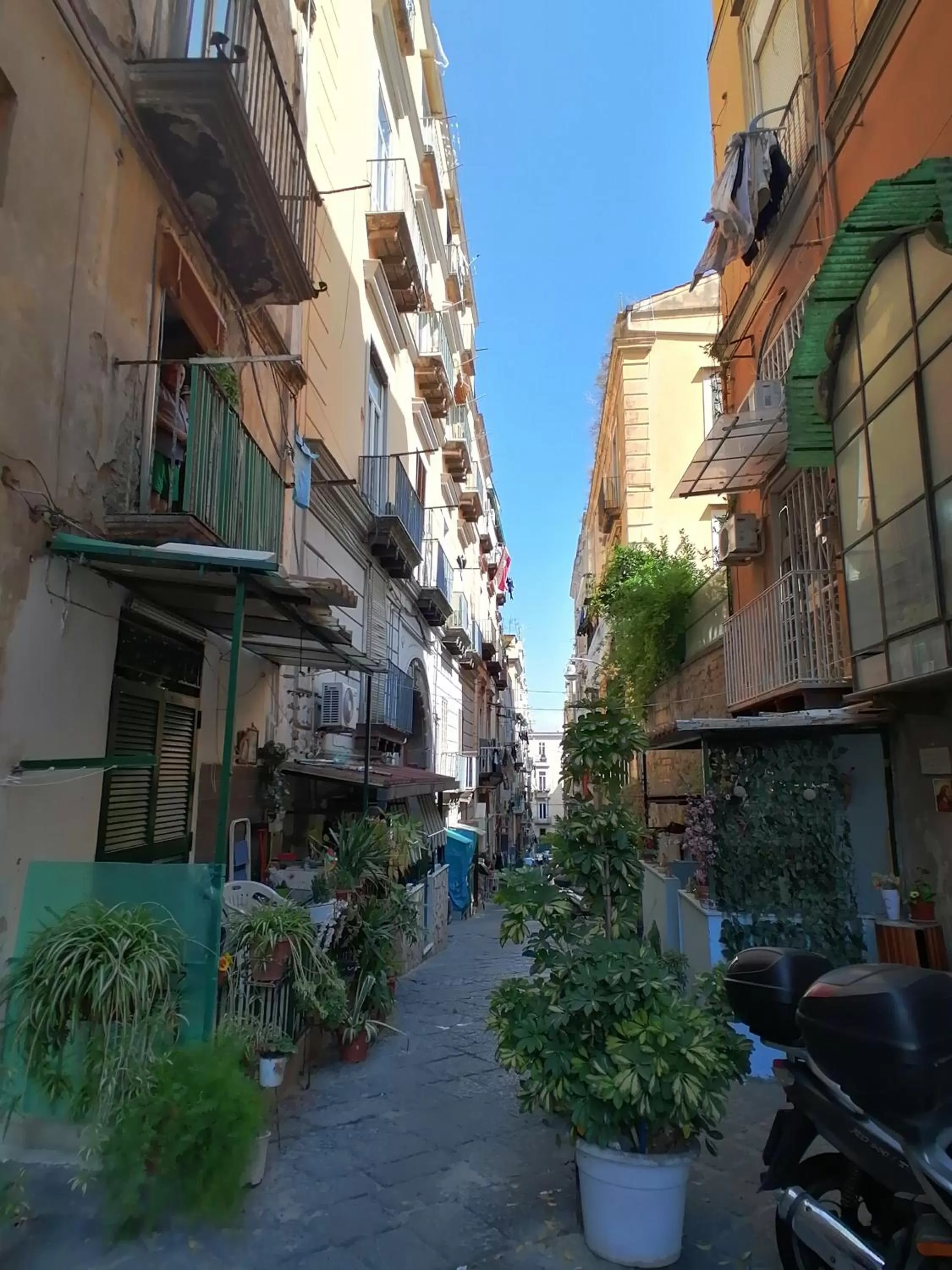 Property building, Neighborhood in B&B Napoli Città