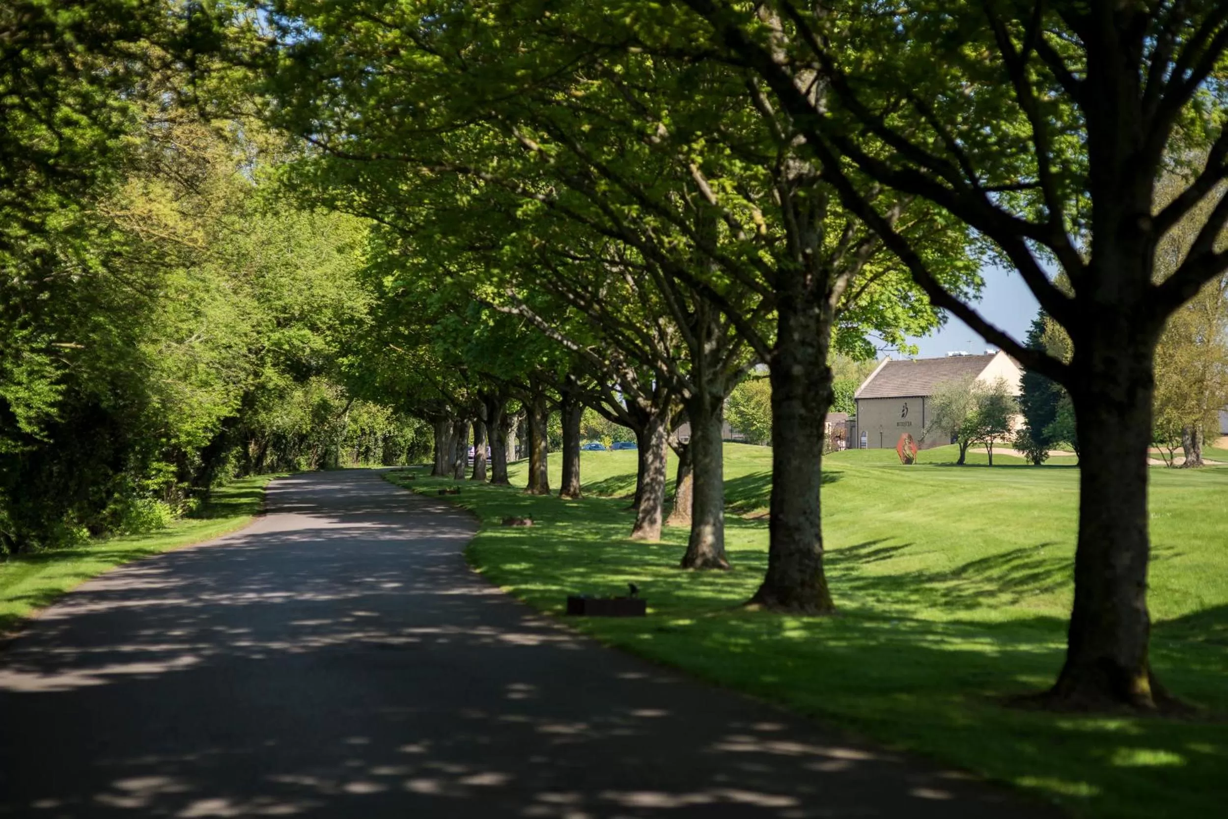 Natural landscape in Bicester Hotel, Golf & Spa