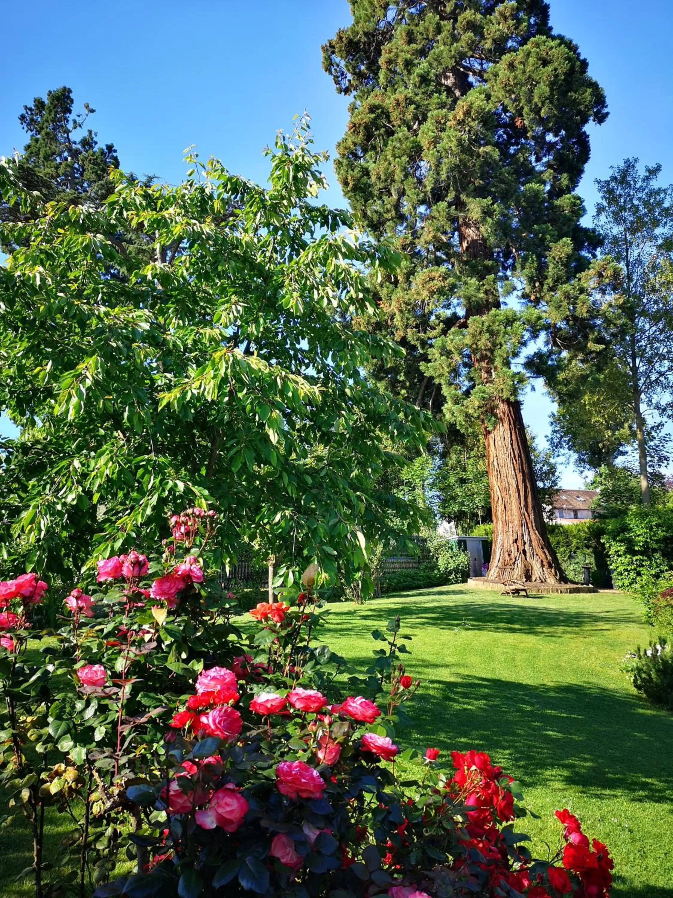 Garden in Les Chambres D'oriane