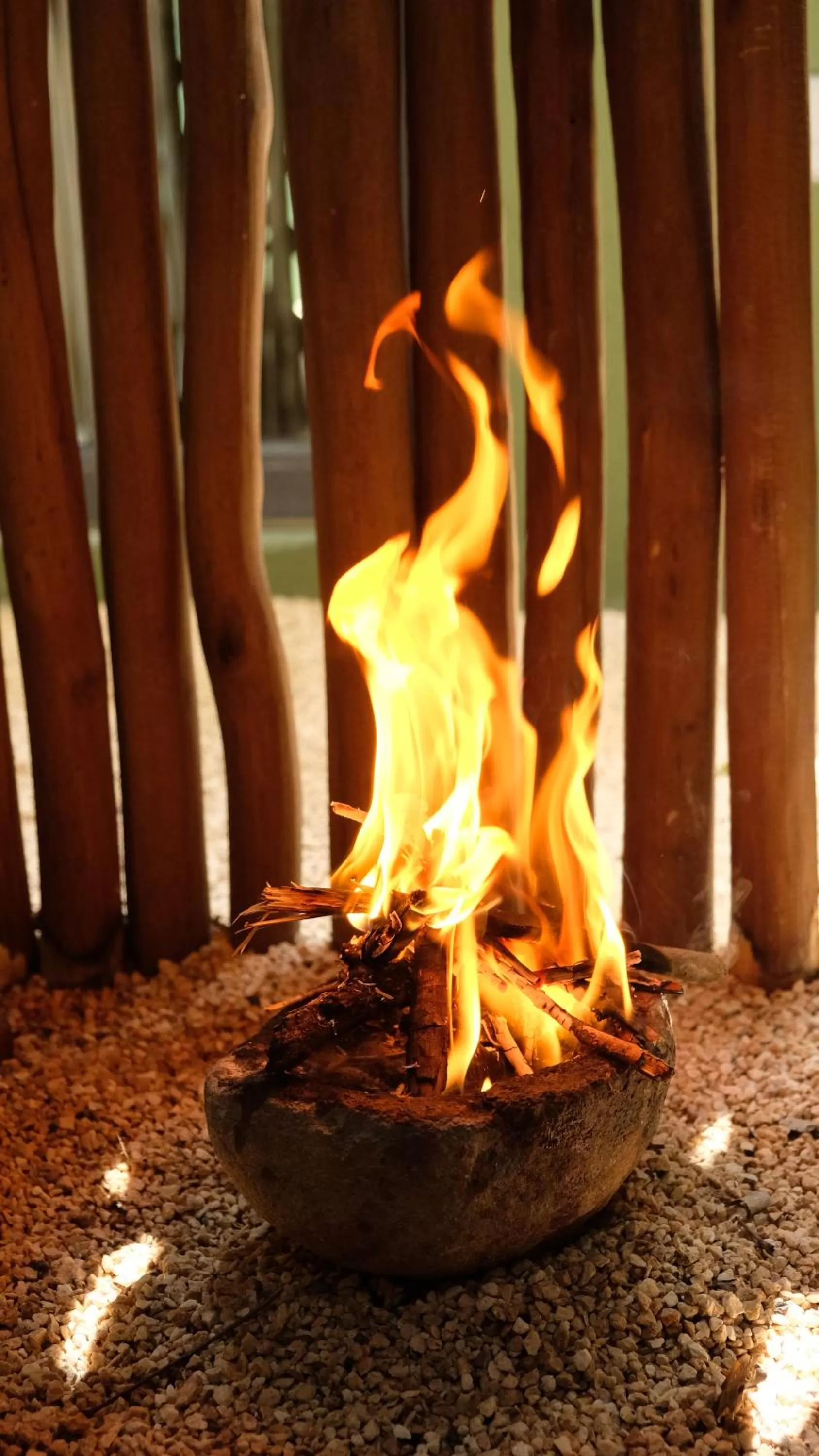 Property building in Loba Tulum Male Only