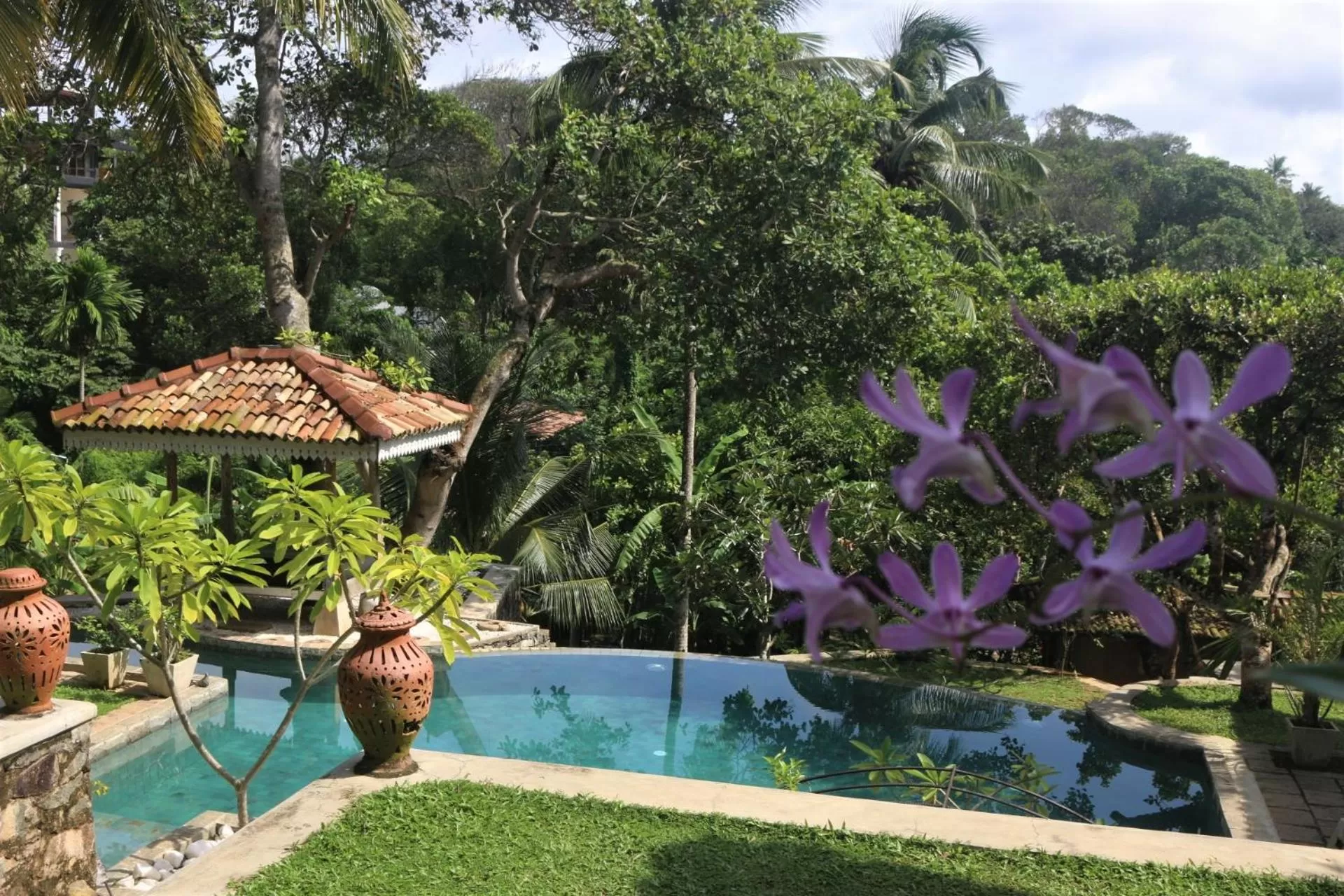 Garden view, Pool View in The Spice House Mirissa