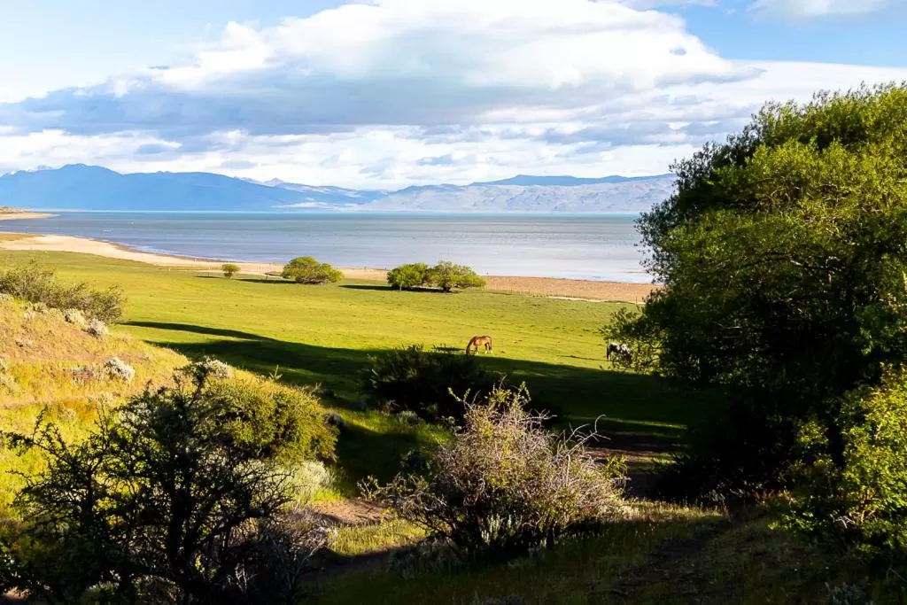 Hostería El Galpón Del Glaciar