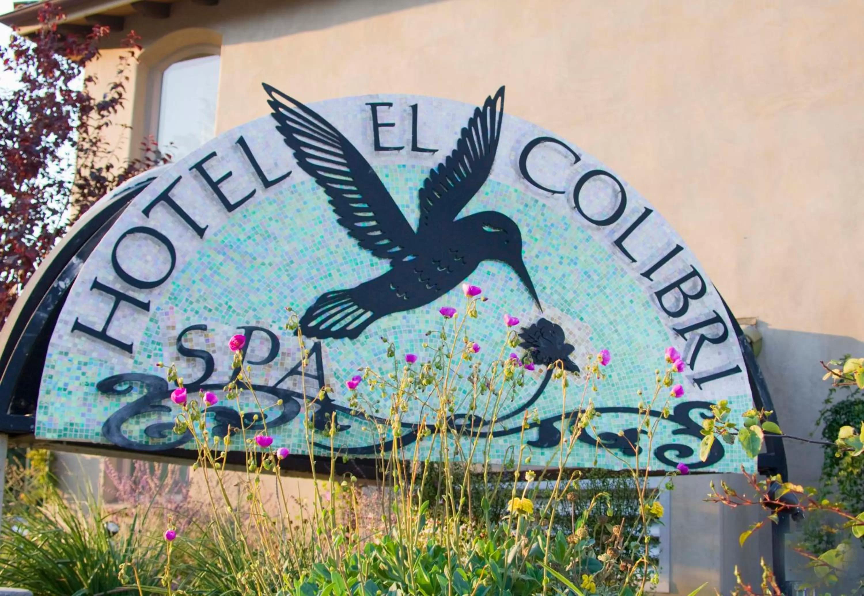 Spa and wellness centre/facilities in El Colibri Hotel & Spa