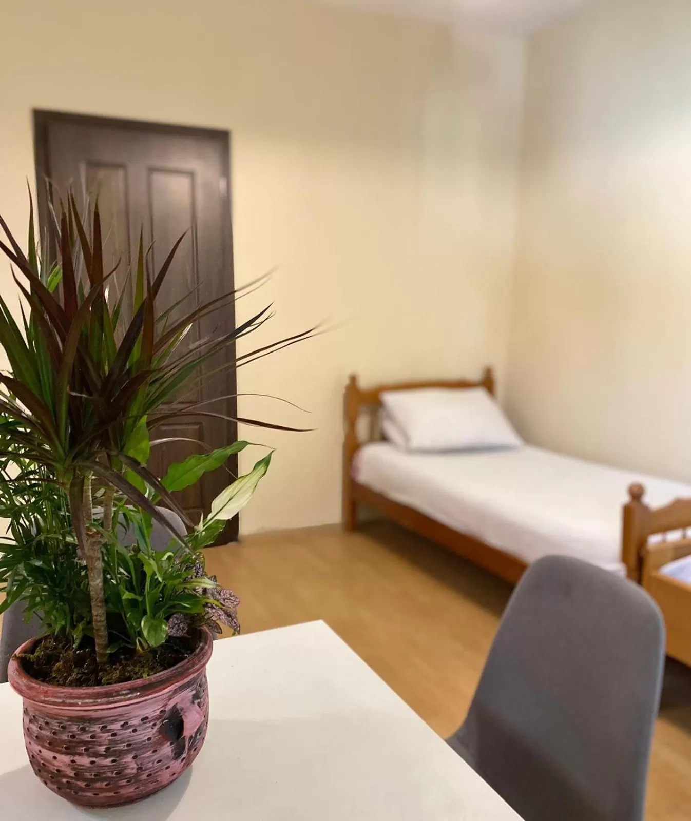 Bed in Vila Park Hotel 1