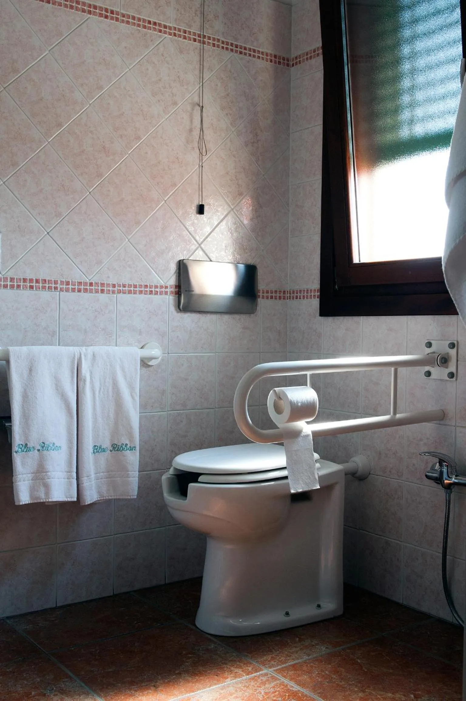 Toilet in Hotel Blue Ribbon