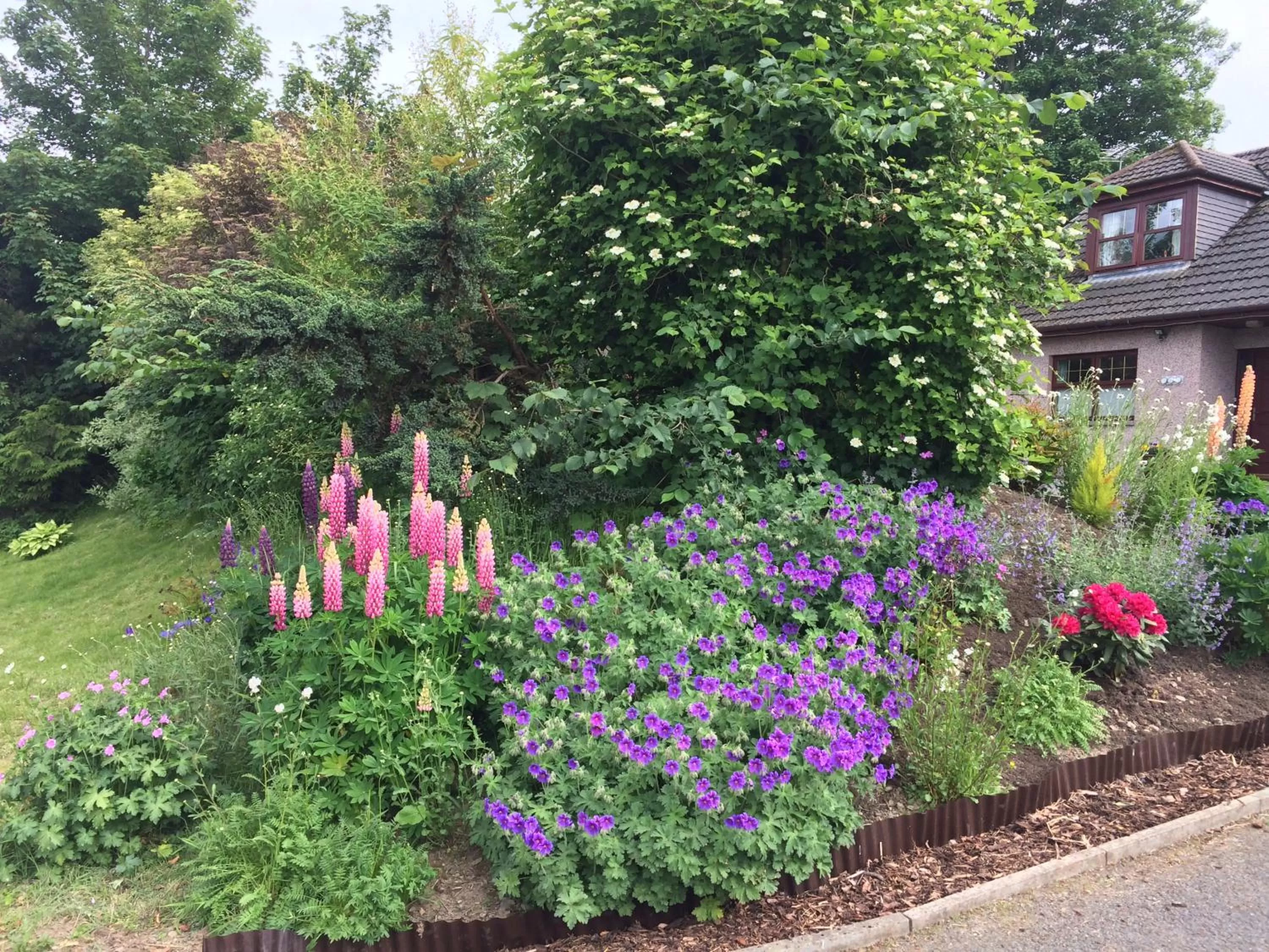 Property building, Garden in Deveron Lodge Guest House