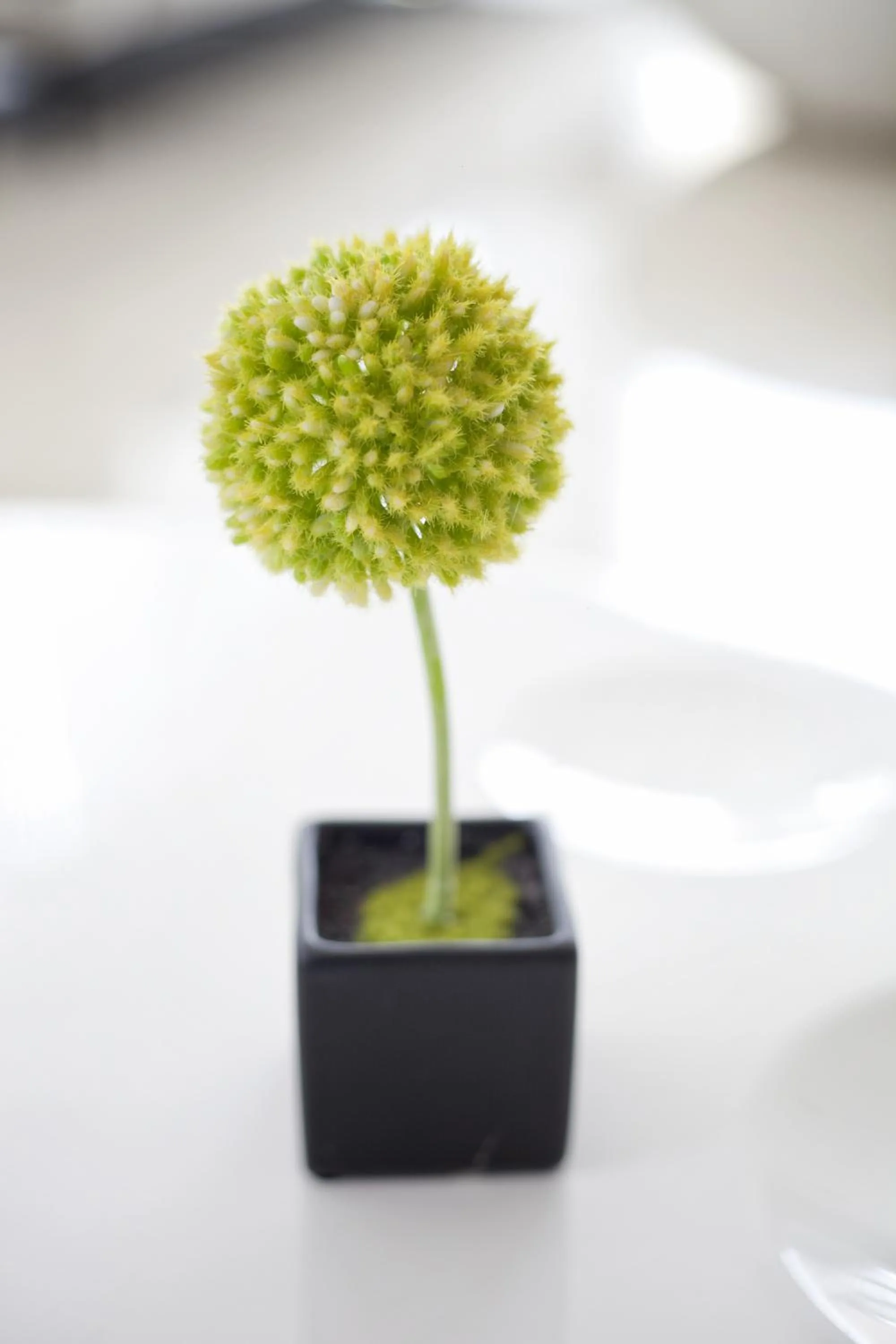 Other in Whiz Hotel Cikini Jakarta