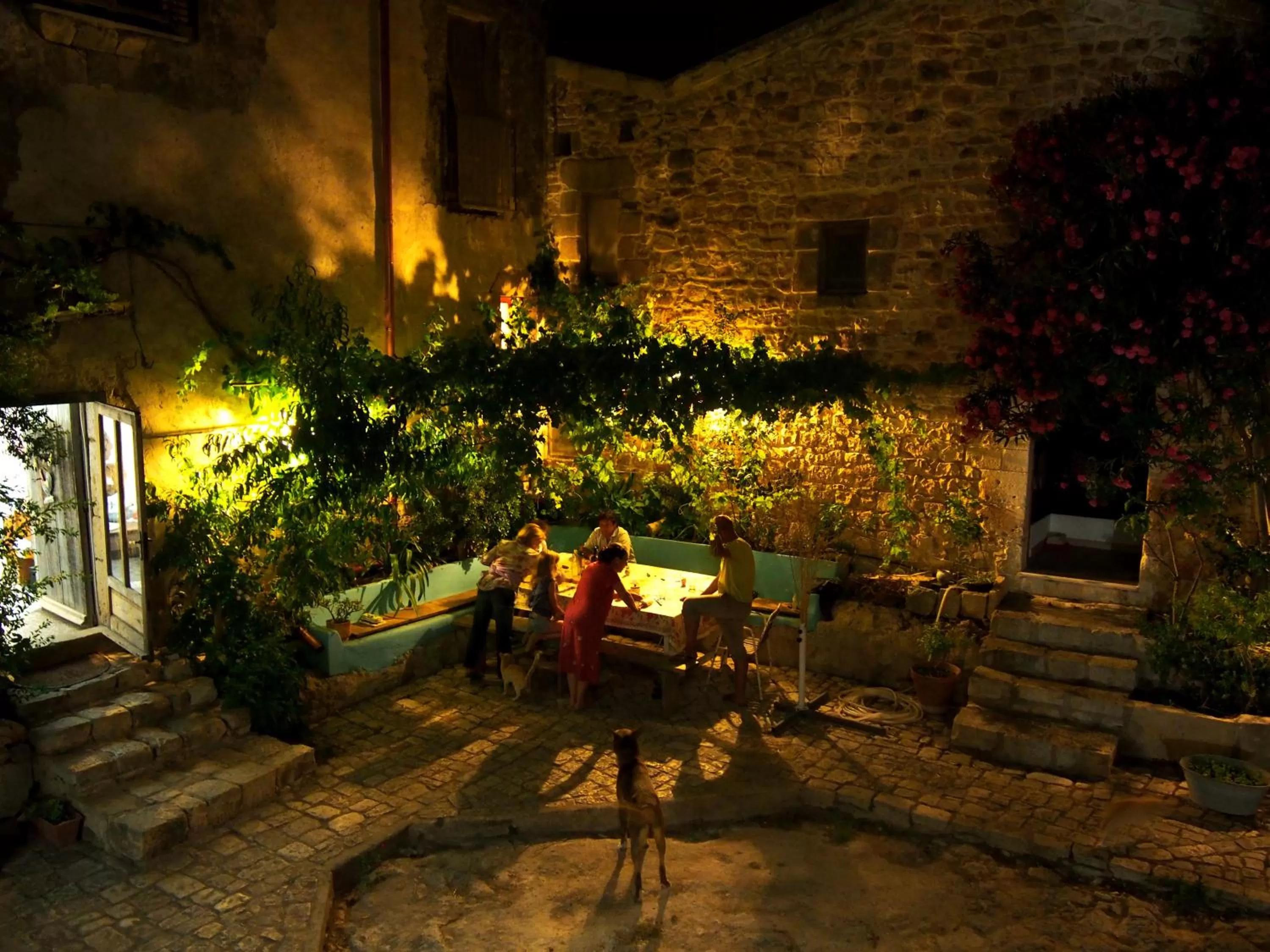 BBQ facilities in Vinciucci