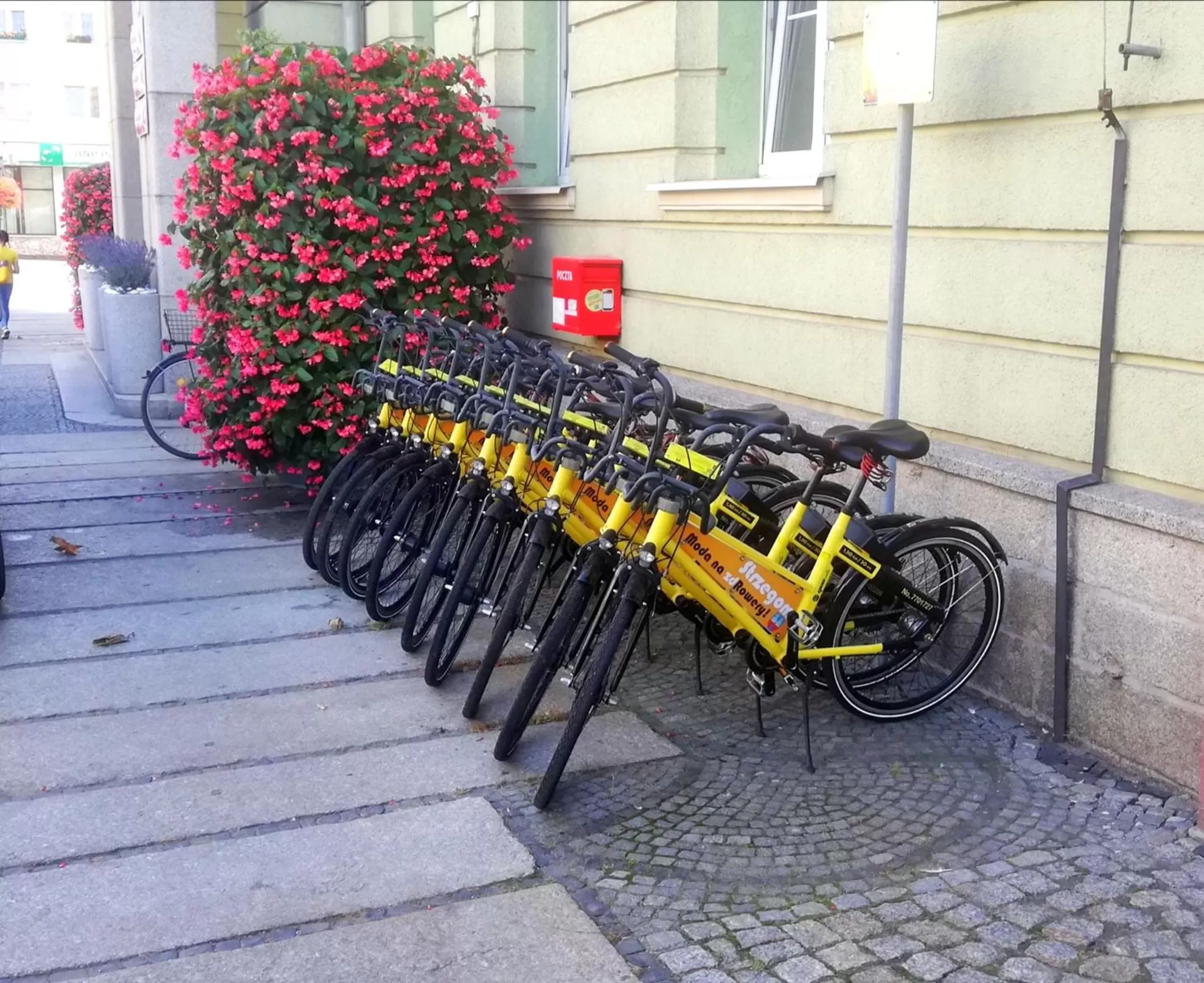 Cycling in Great Polonia Strzegom City Center