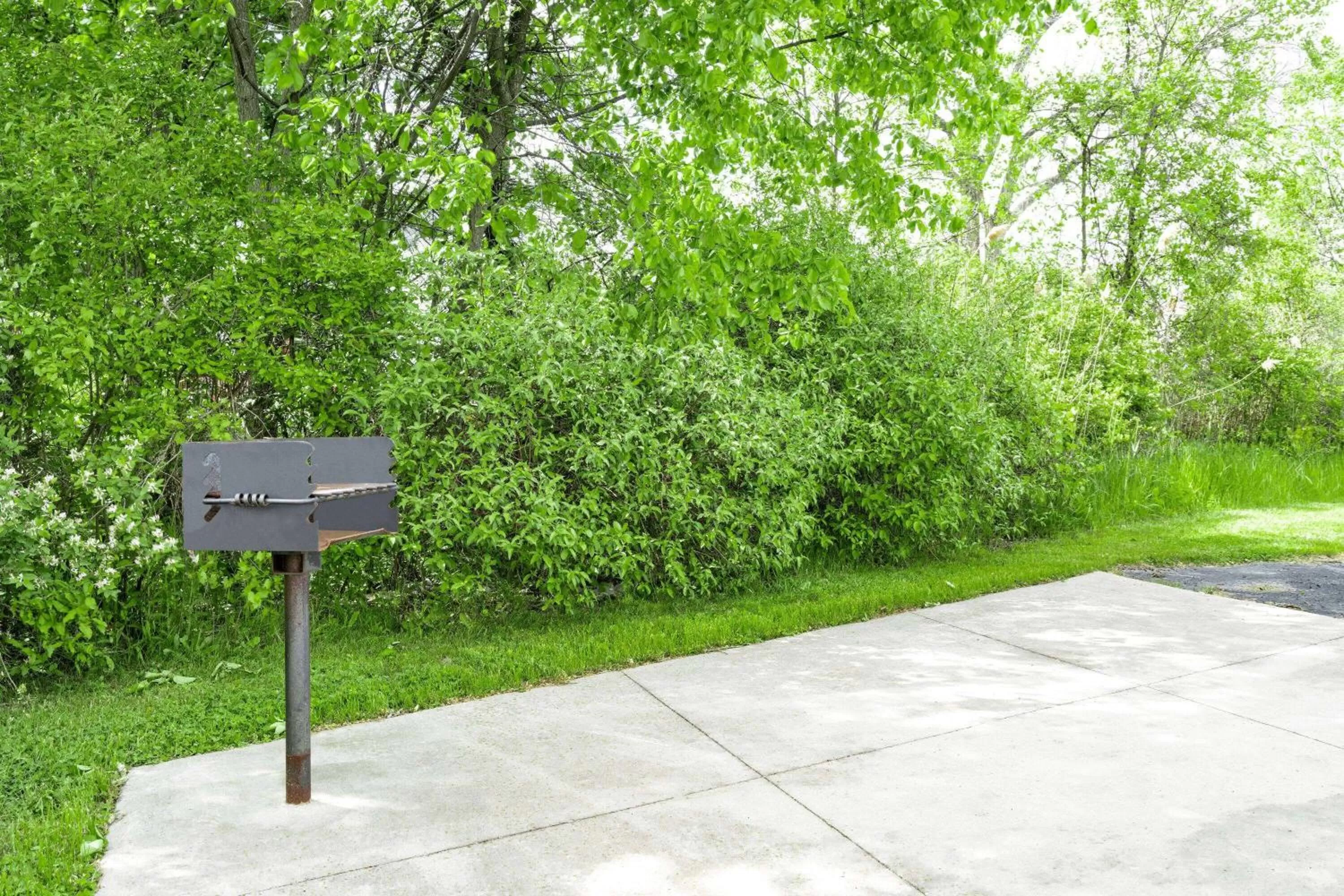 BBQ facilities in Days Inn & Suites by Wyndham Niagara Falls/Buffalo