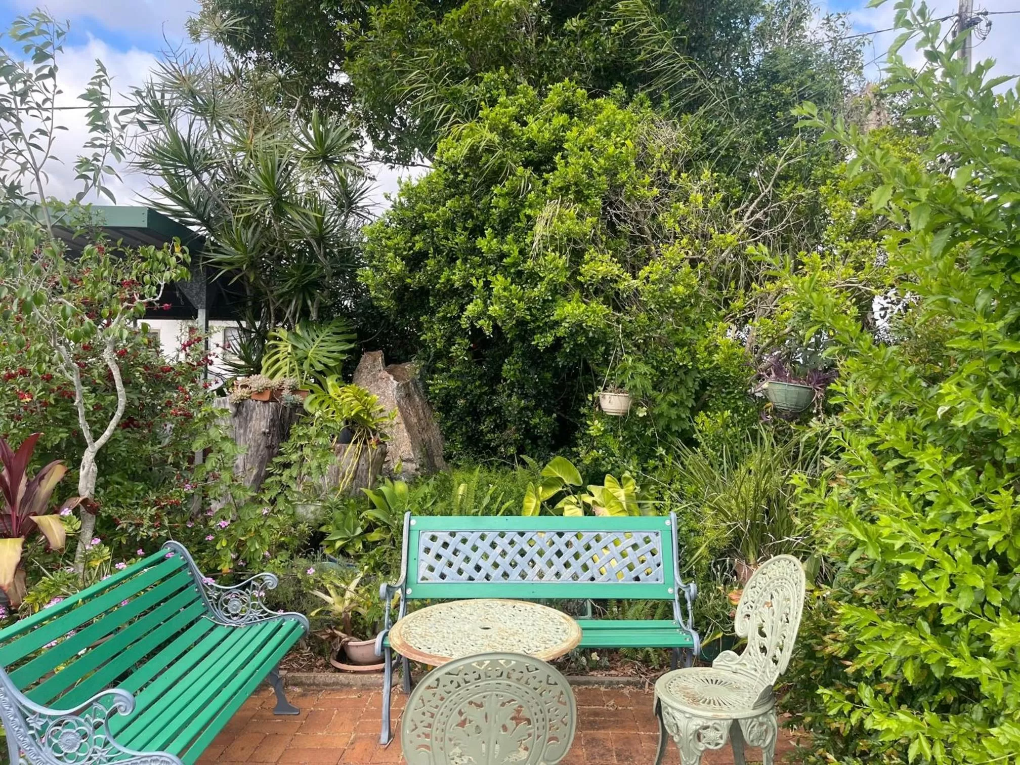 Spring in Avocado Motor Inn