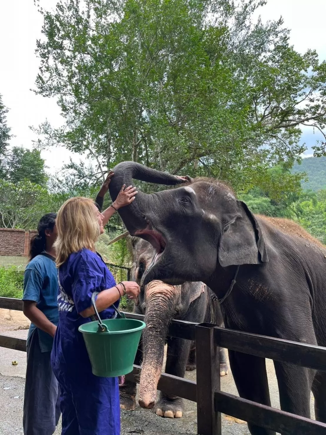 group of guests in THAI HOTEL CHIANGMAI