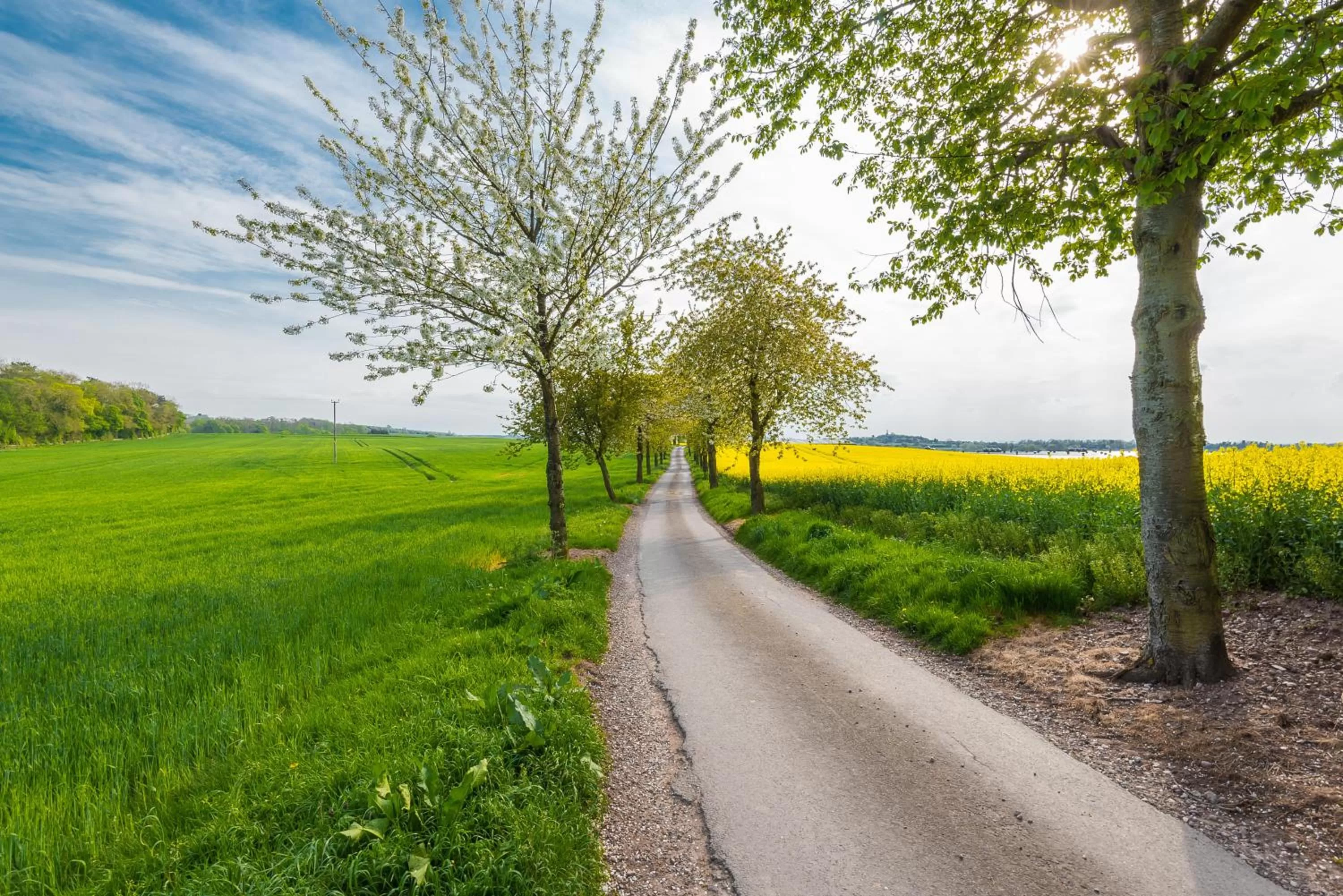 Natural landscape in Lilleshall House & Gardens and Lilleshall National Sports Centre