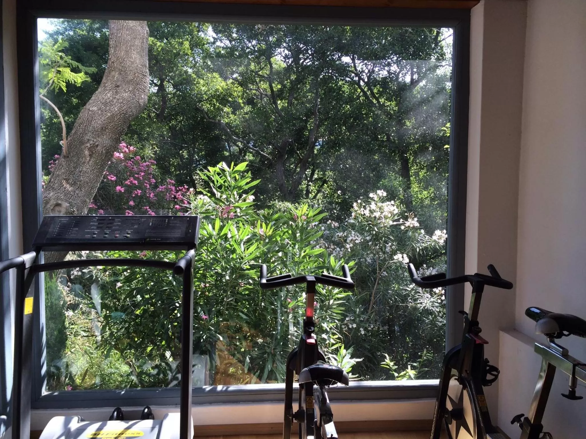 Fitness centre/facilities in Mesón de Sancho