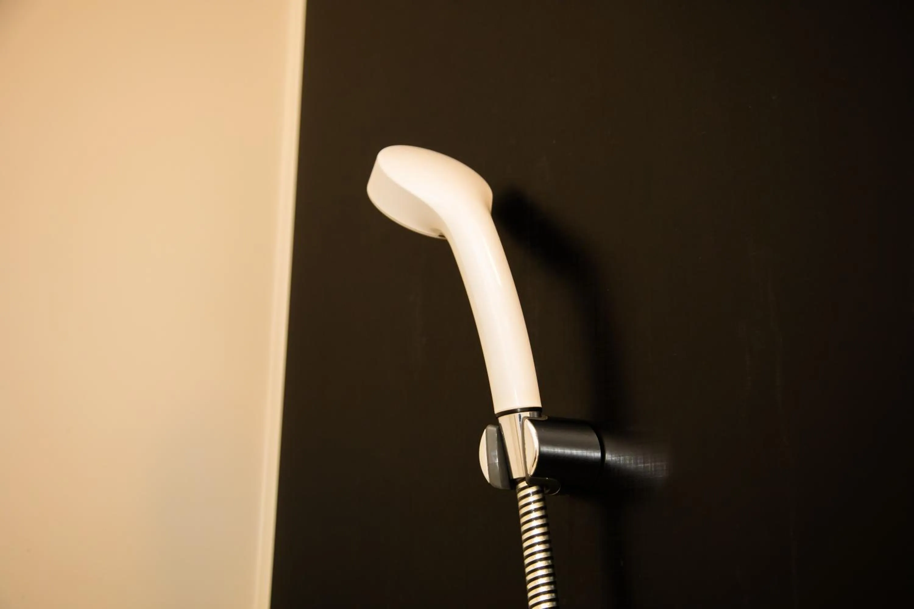 Shower in Quintessa Hotel Osaka Shinsaibashi Comic & Books