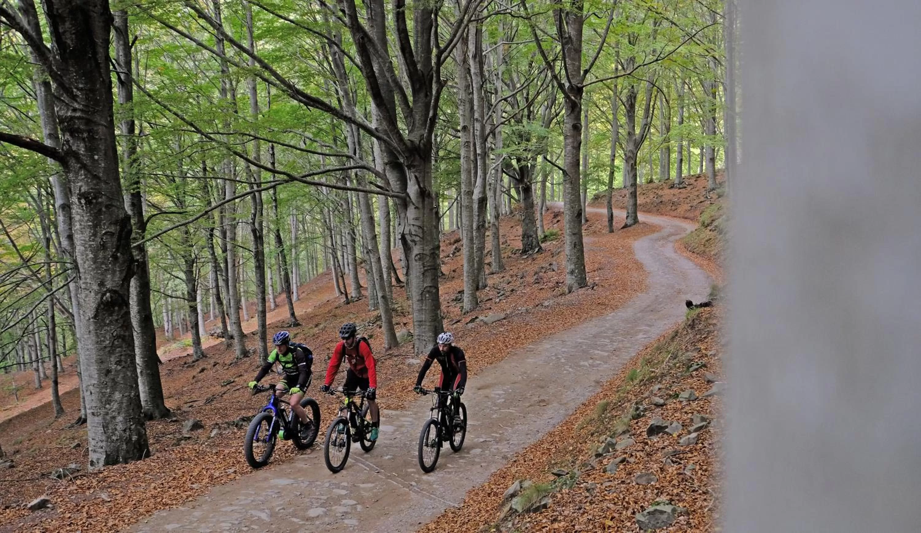 Hiking in Villa Belvedere