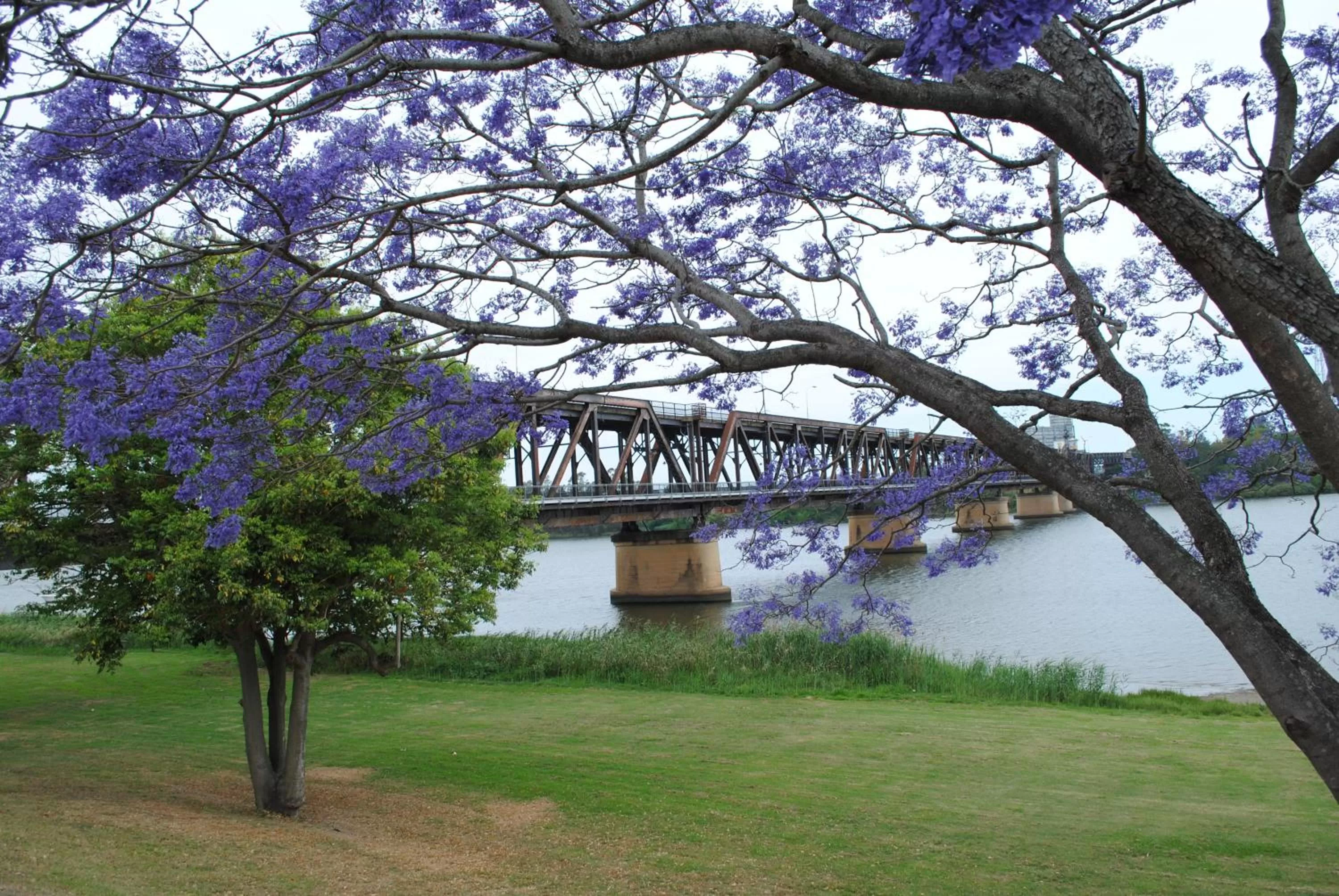 Nearby landmark in Fitzroy Motor Inn