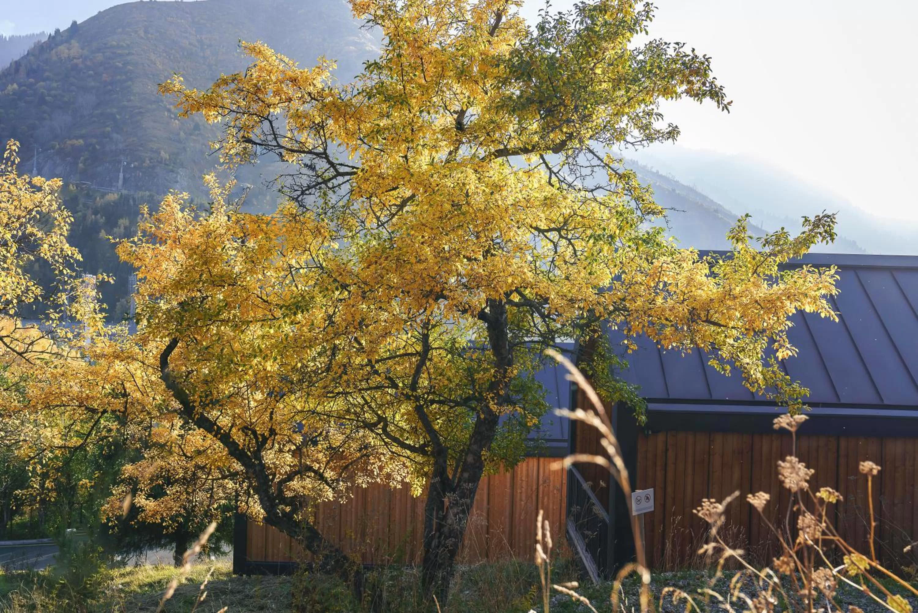 Autumn in Qazaq Auyl Eco Hotel