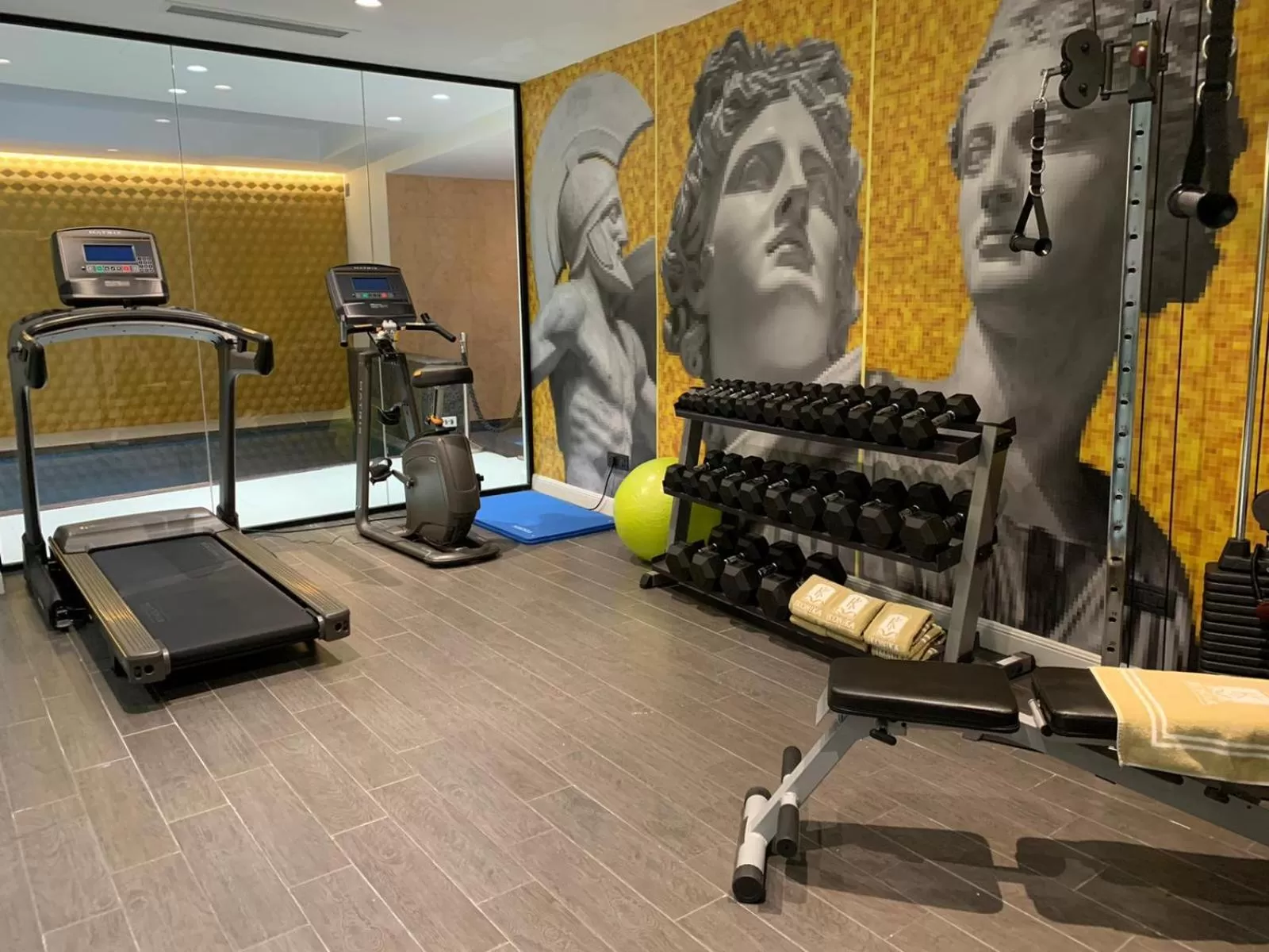 Fitness centre/facilities in HOLM Boutique & SPA - IK Collection