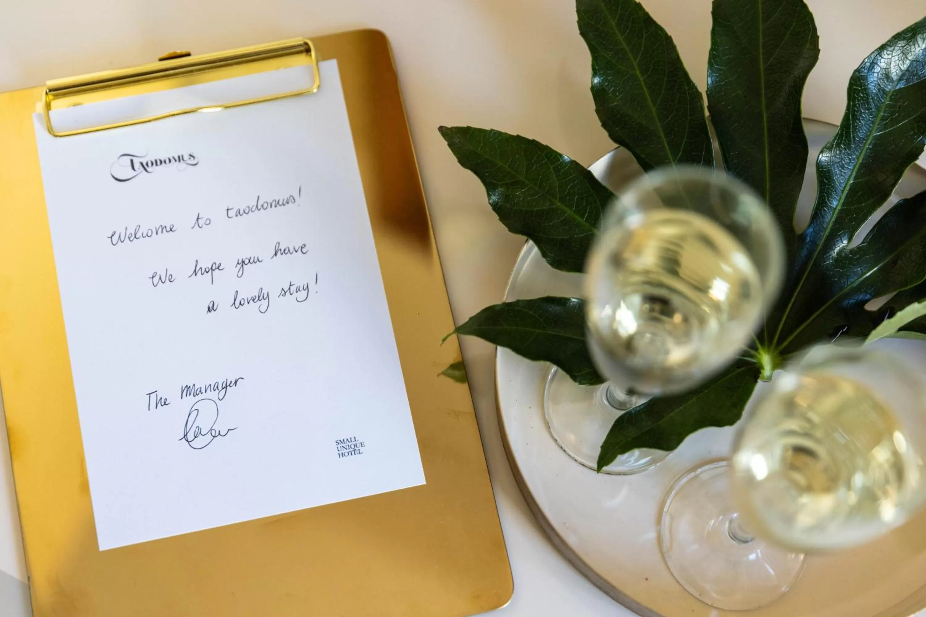 Drinks in Taodomus Boutique Hotel