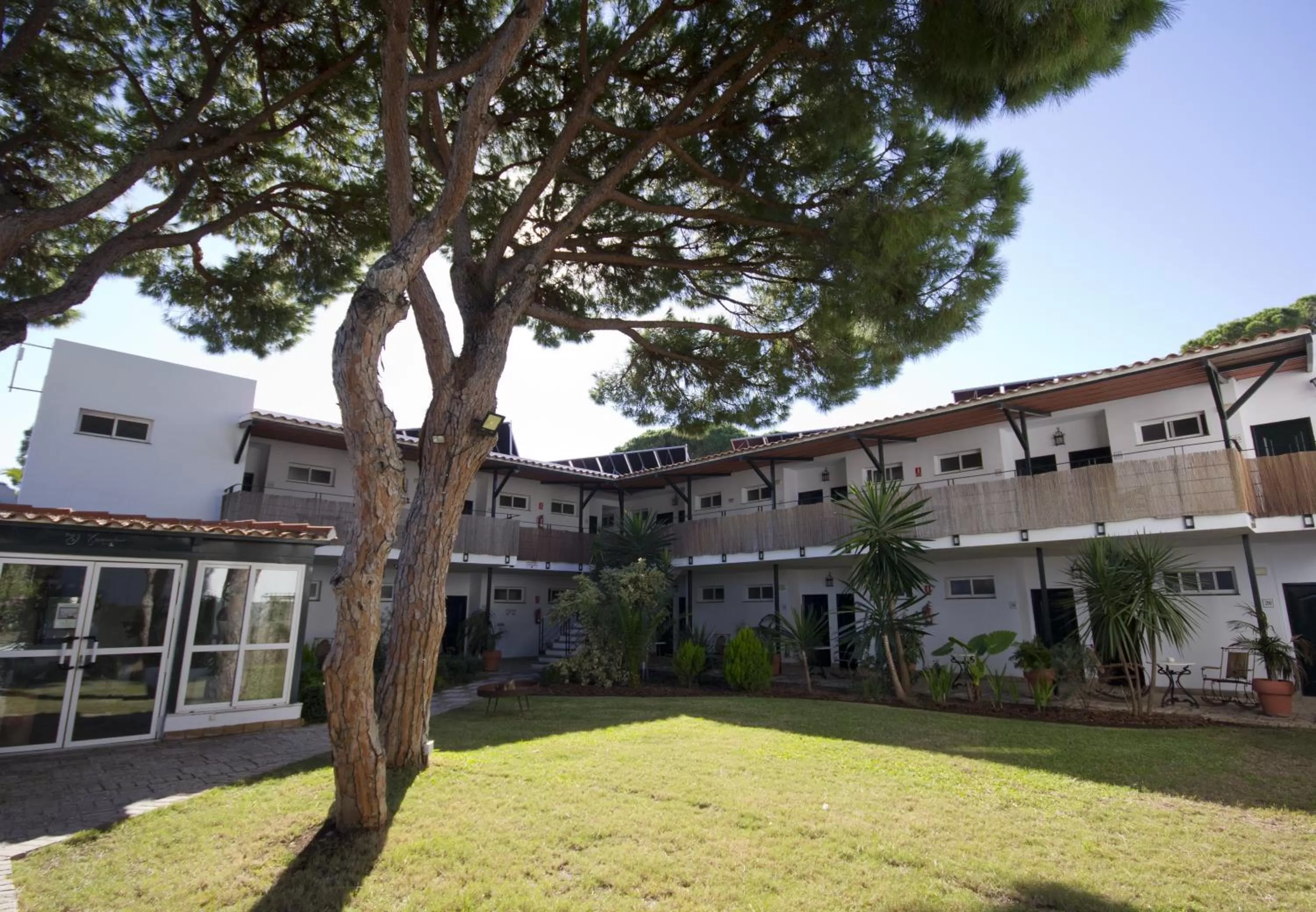 Garden in Campomar Playa