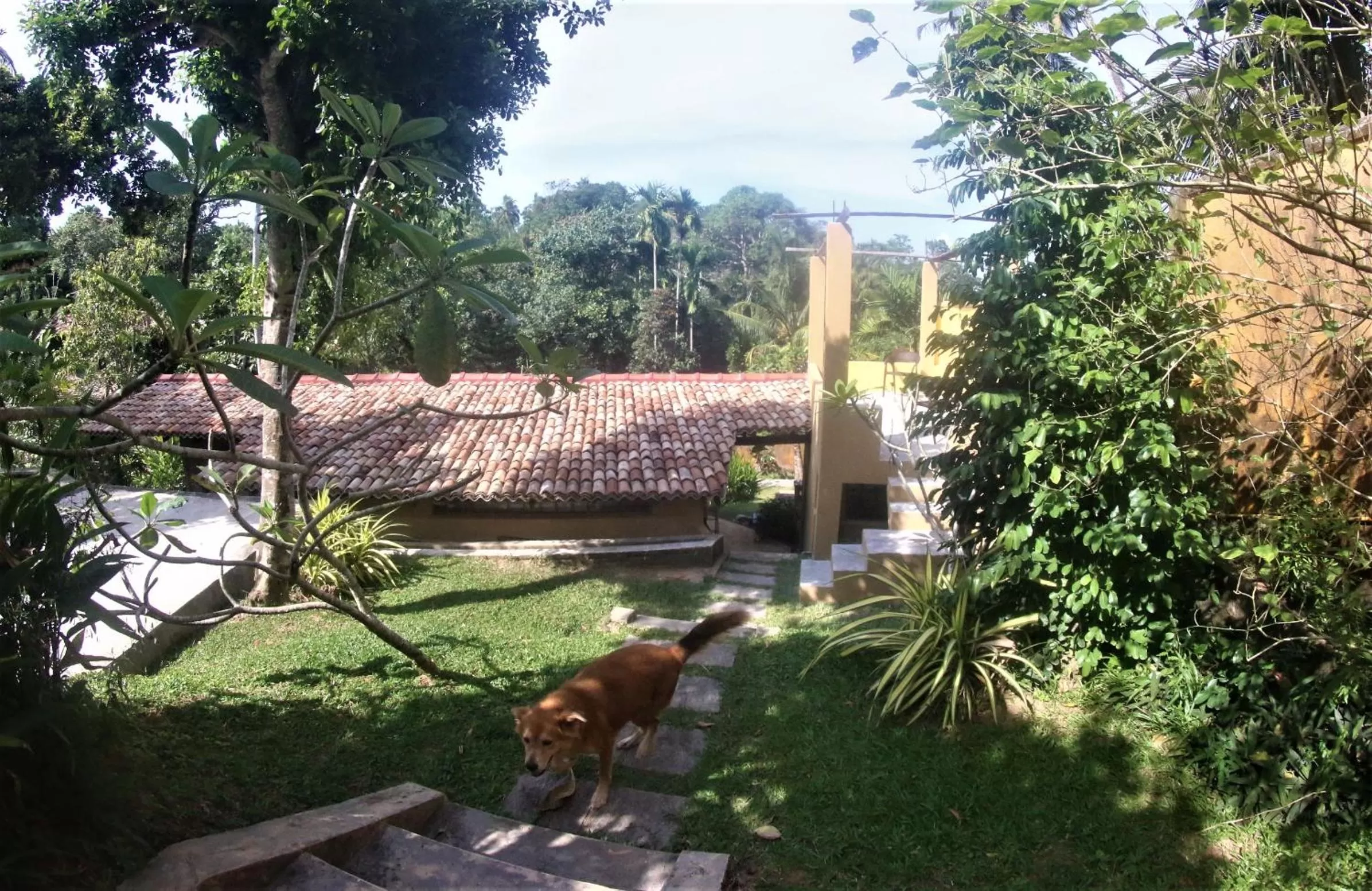 The Spice House Mirissa