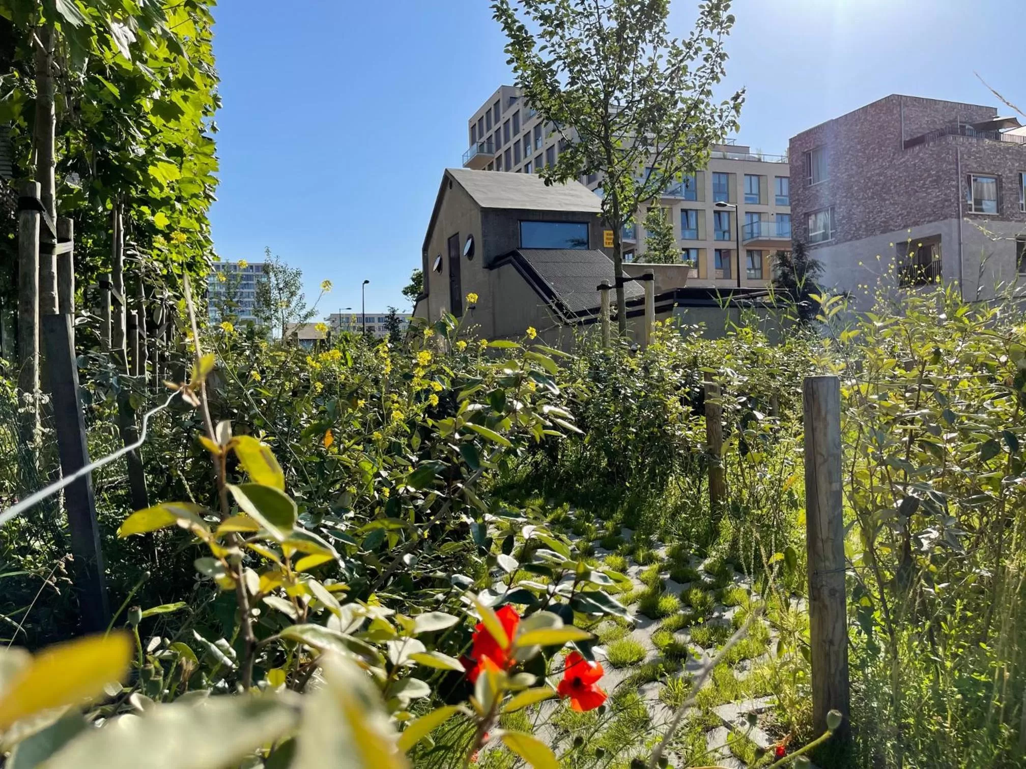 Garden view, Property Building in vondice hotel