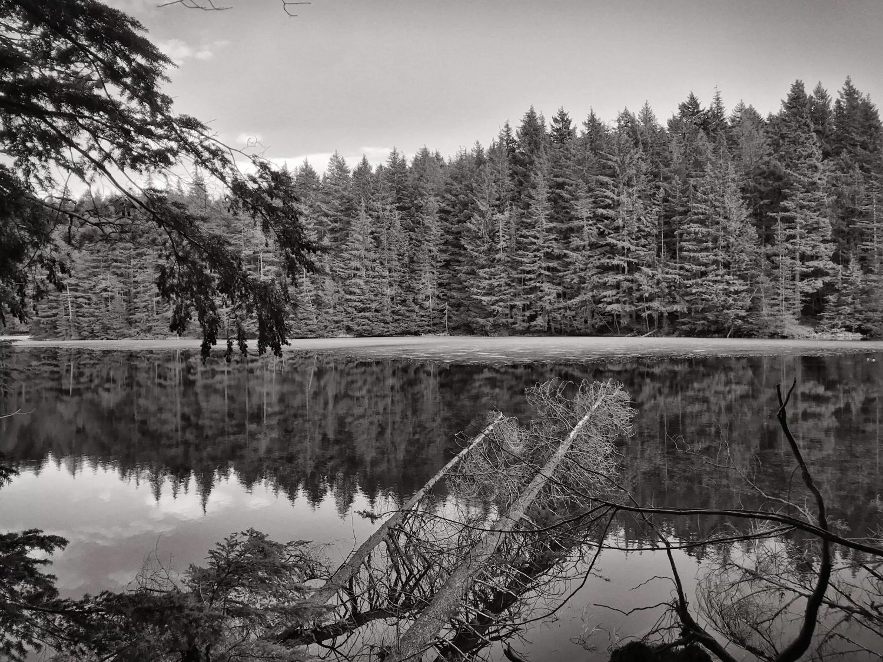 Nearby landmark in Otter's Pond Bed and Breakfast