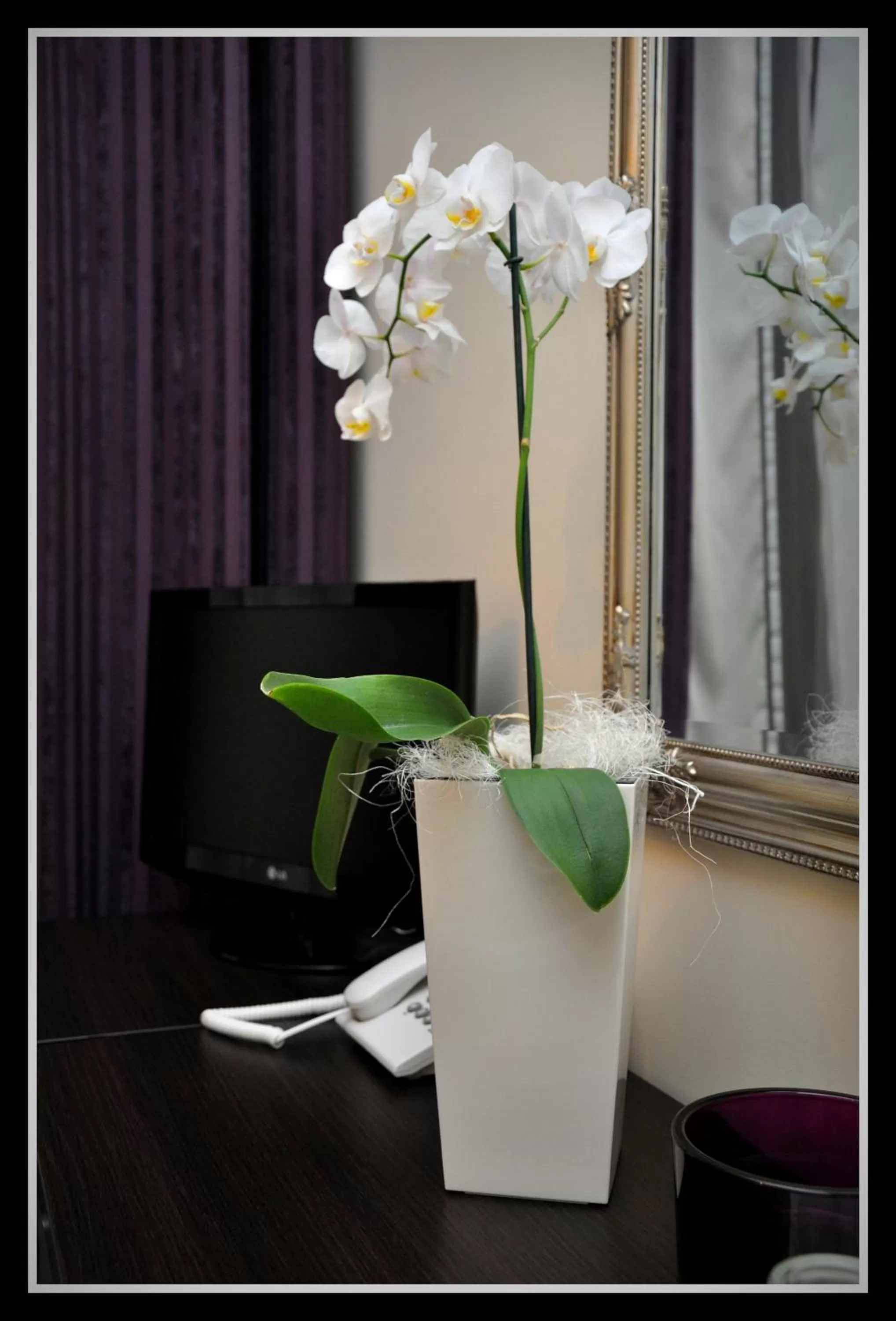 Decorative detail in Hotel Willa Adriana