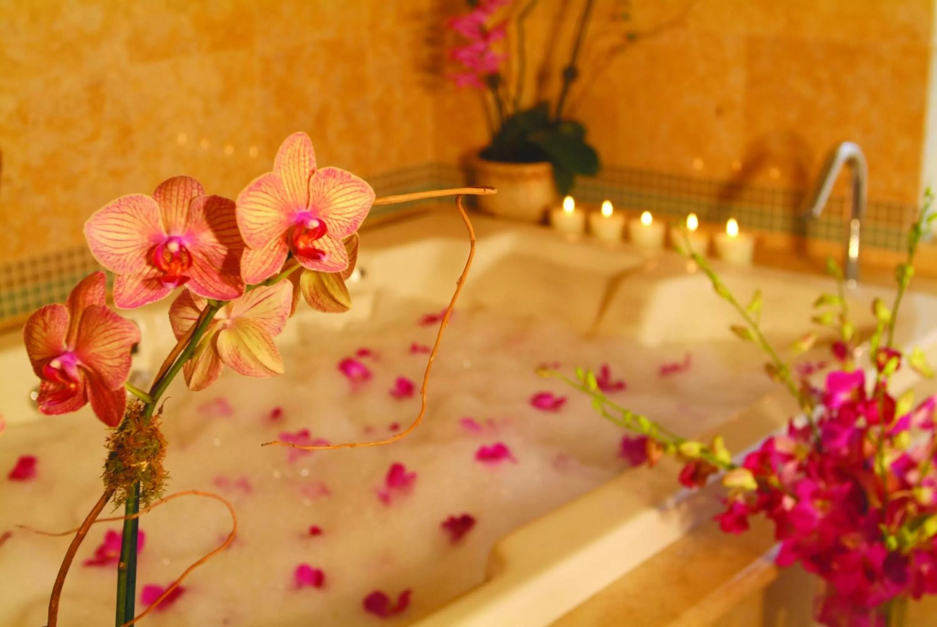 Spa and wellness centre/facilities in Biltmore Hotel Miami Coral Gables