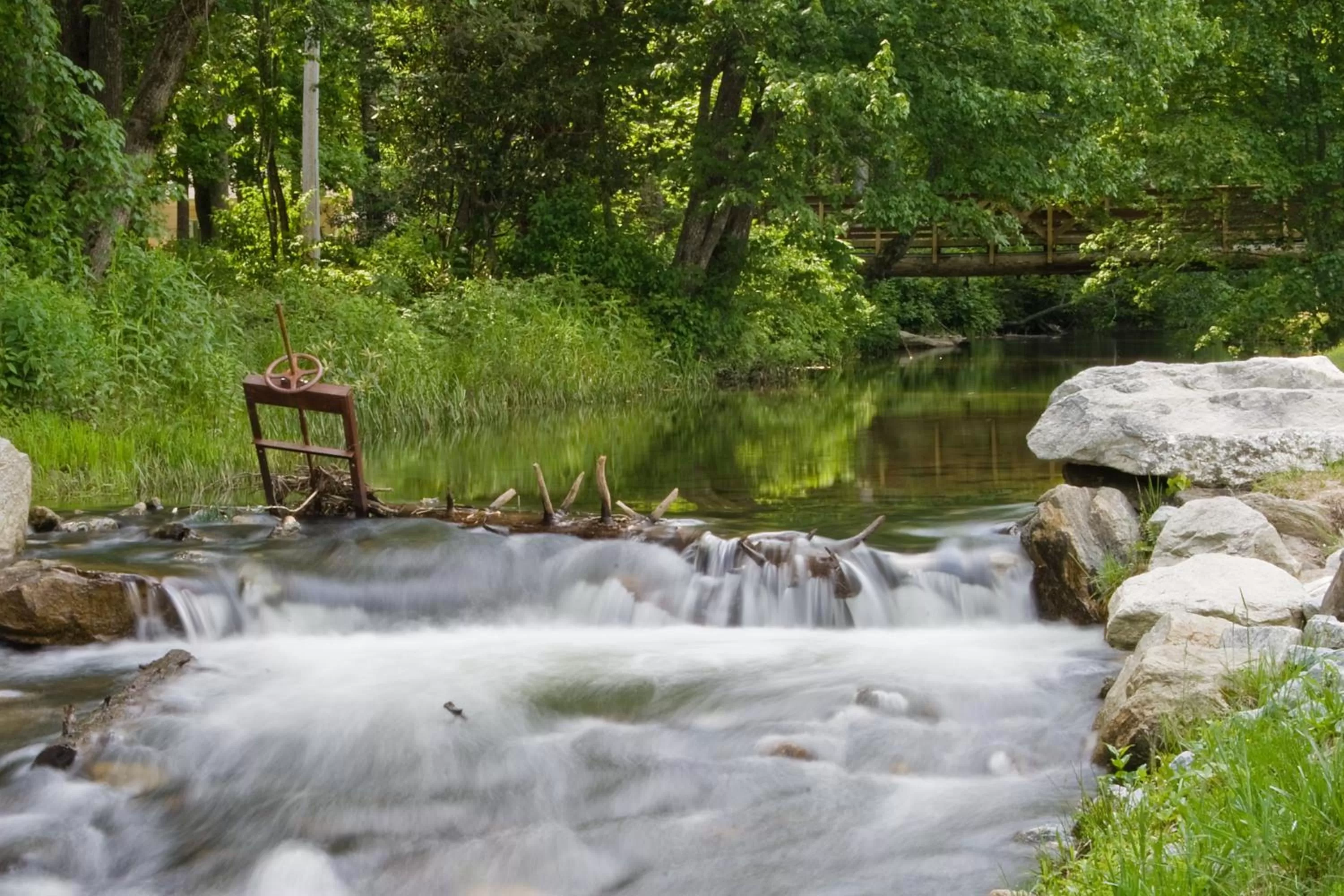 Area and facilities in Foxhunt at Sapphire Valley