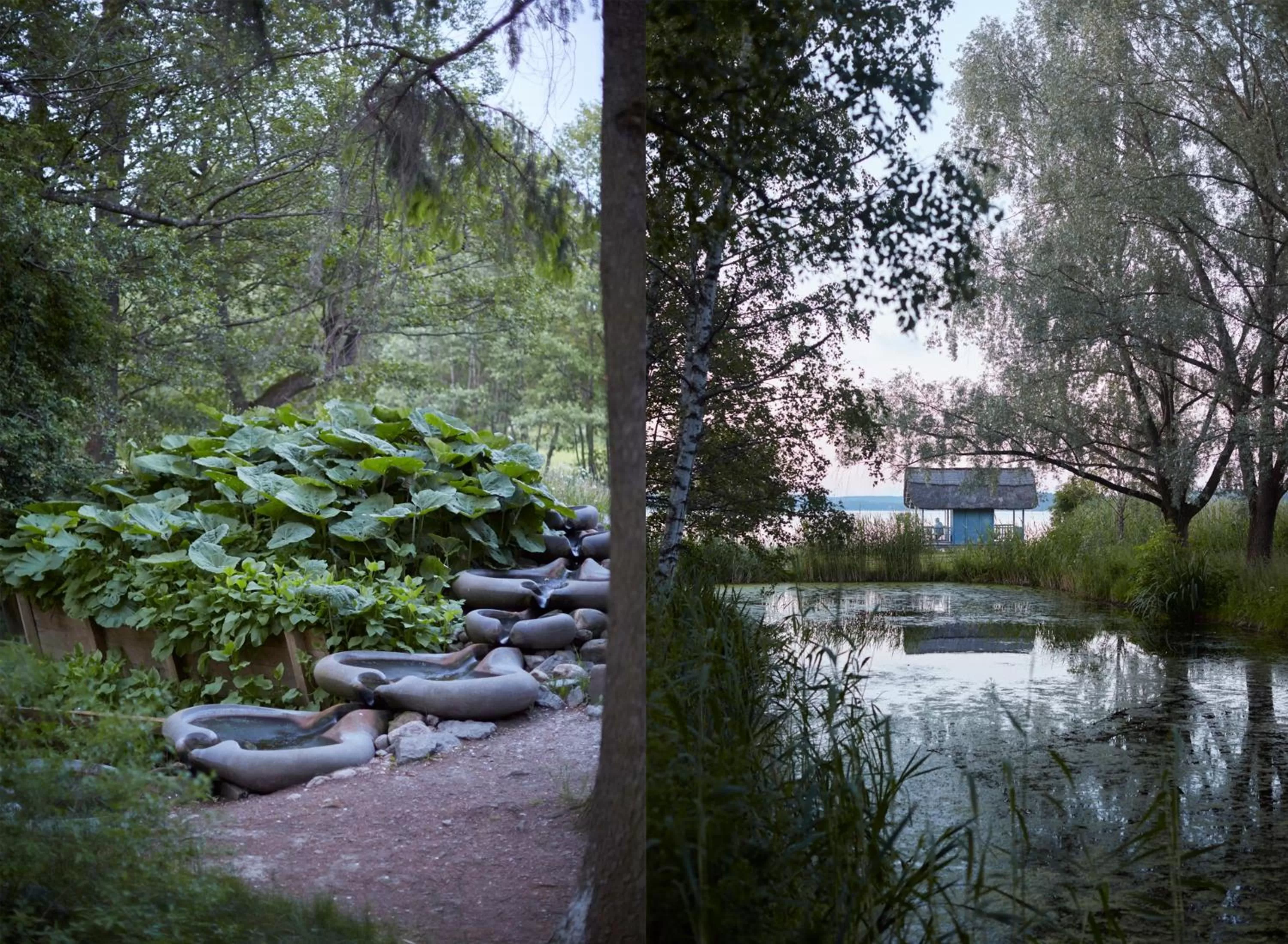 Natural landscape in Ytterjärna Hotell & Konferens