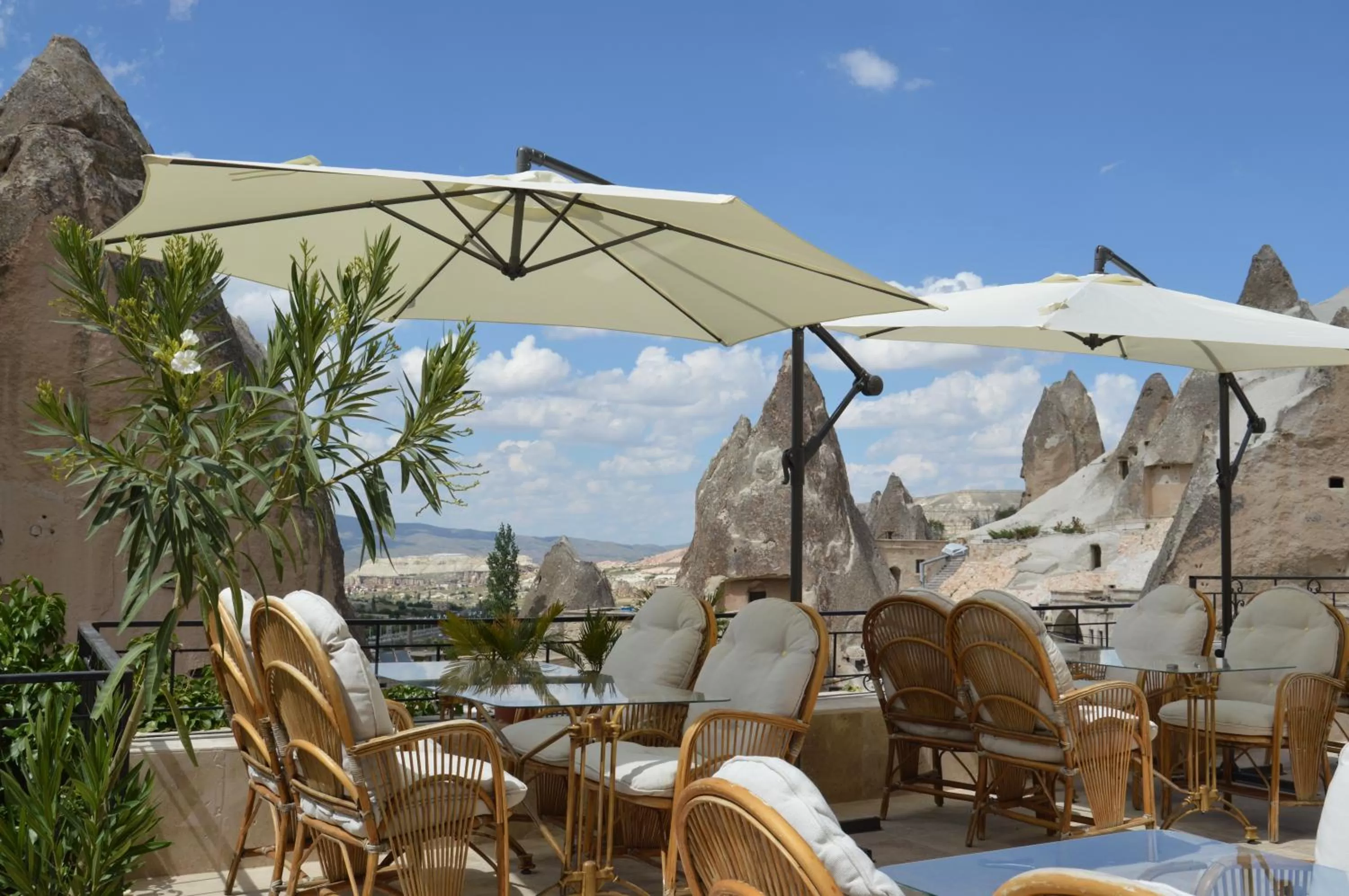 Garden in Elite Cave Suites