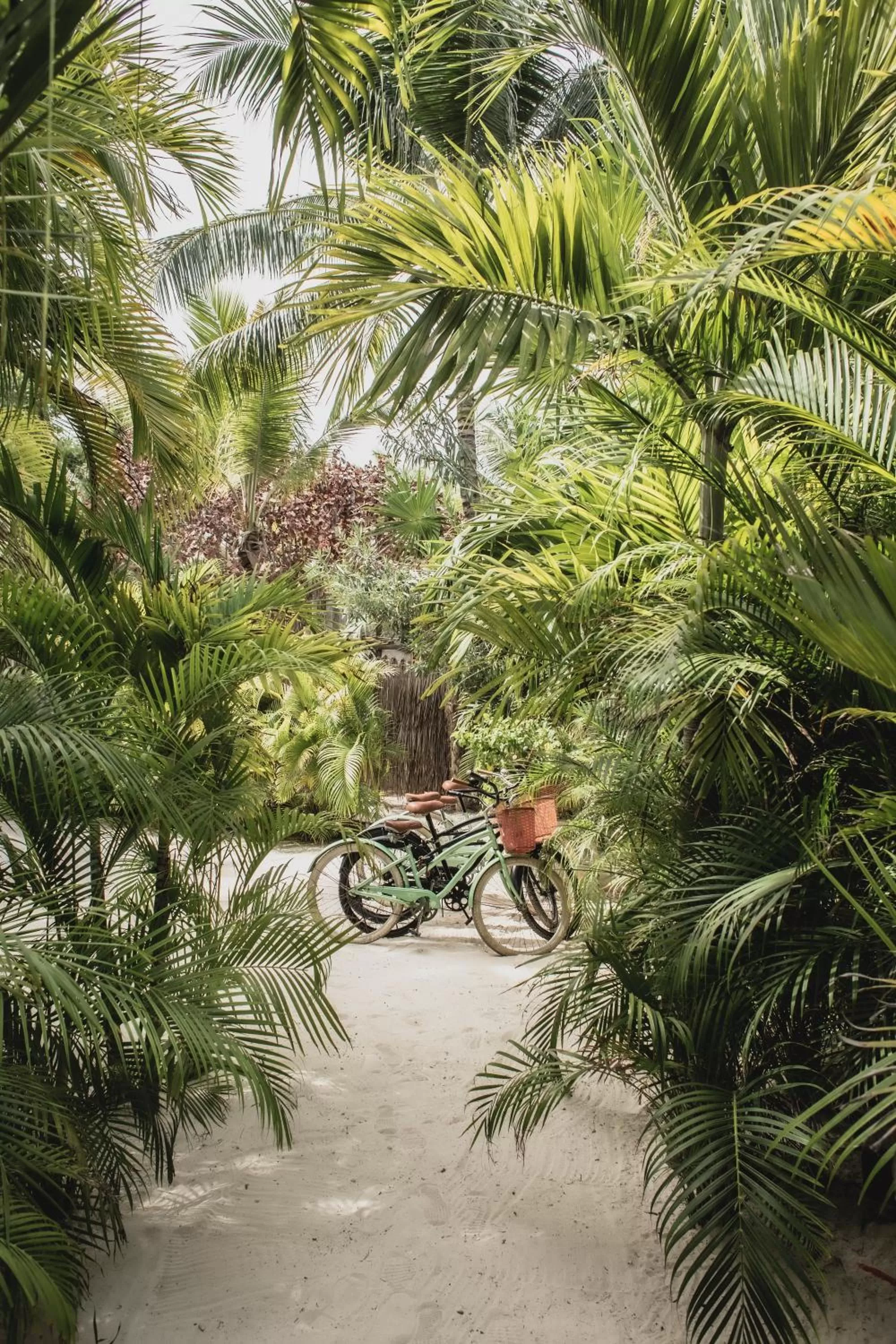 Cycling in La Valise Tulum, Member of Small Luxury Hotels